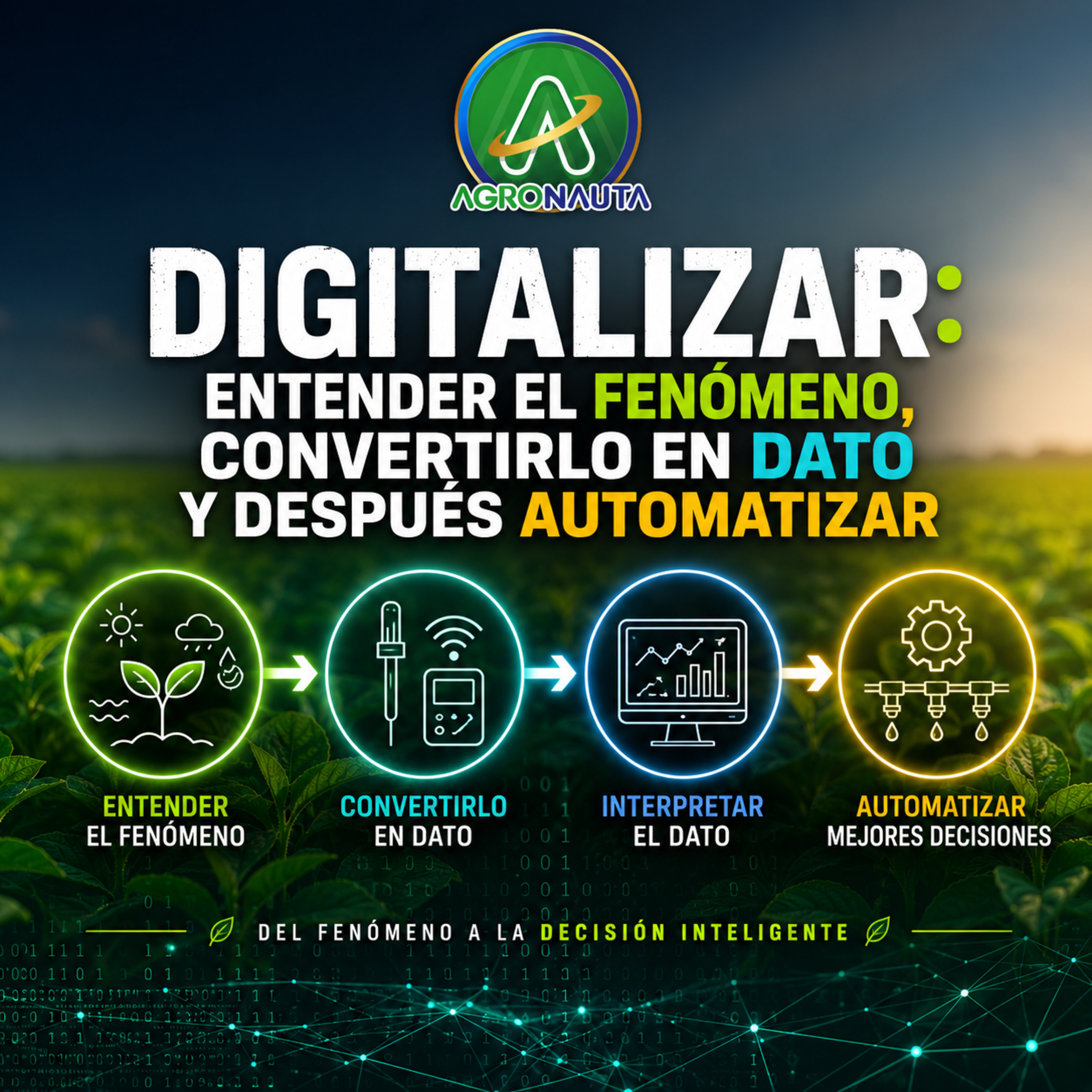 Digitalizar: entender el fenómeno, convertirlo en dato y después automatizar episode artwork