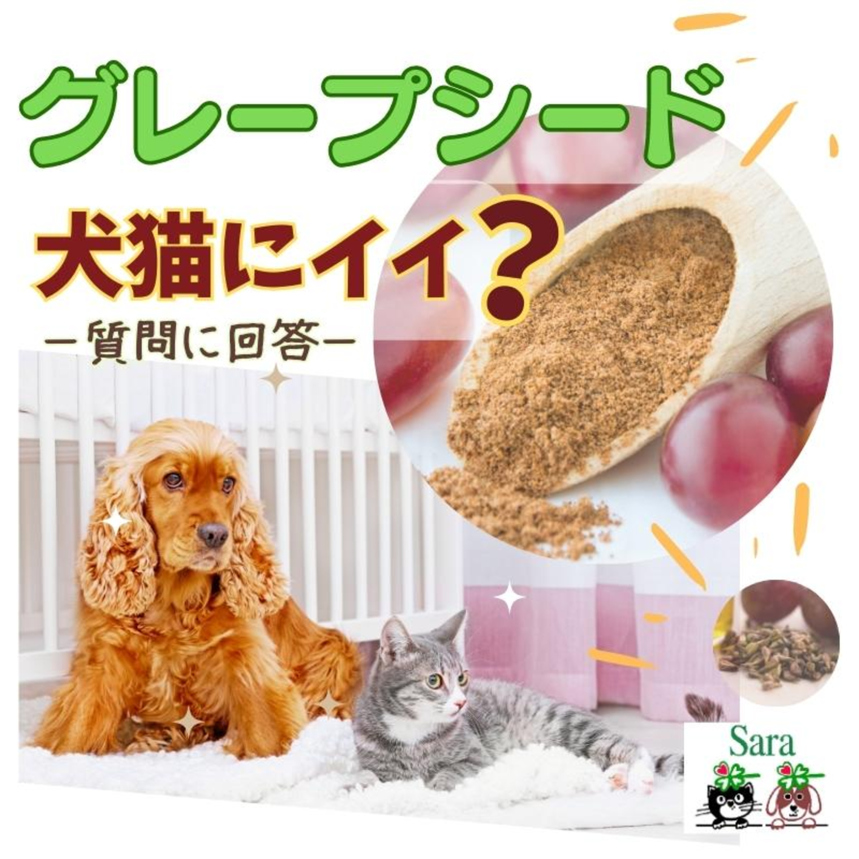 #808. ハーブ：犬猫にもグレープシードがイイ？（質問に回答） episode artwork