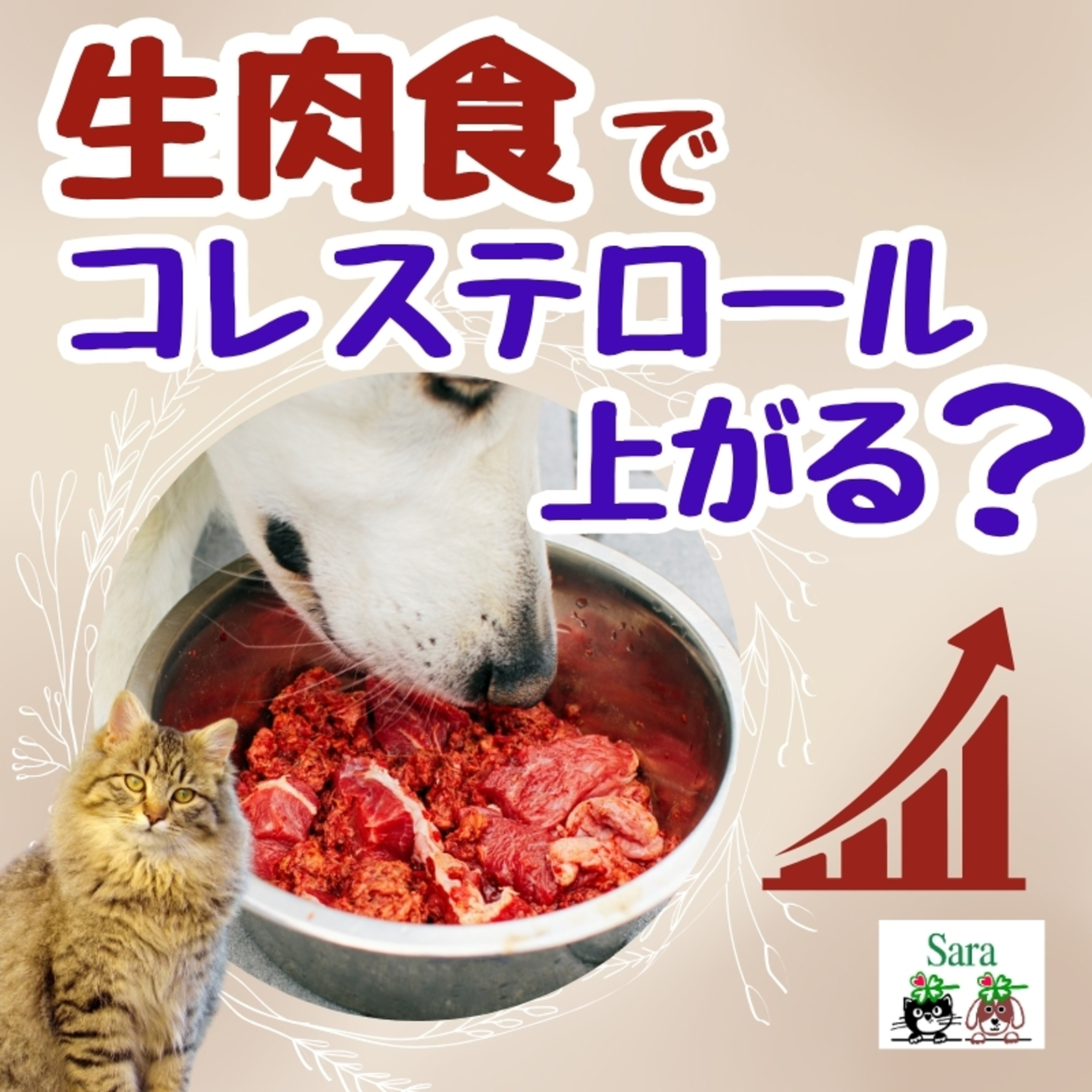#1077. 生肉食でコレステロール値が上がる❓（スライドについて🐶🐱） episode artwork