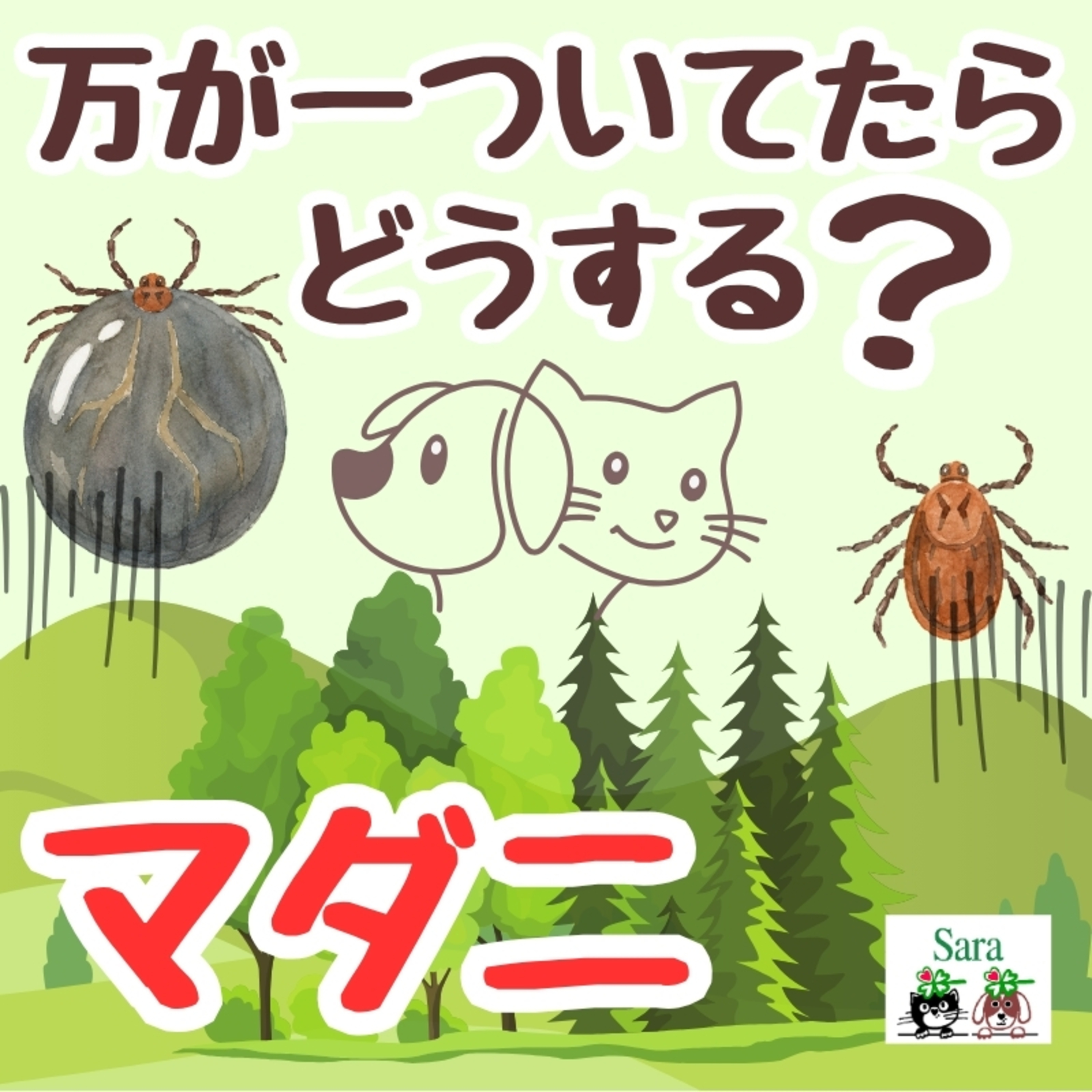 #1081. 犬猫のマダニ：見つけた場合どうしたらイイ？感染した時の症状は？ episode artwork
