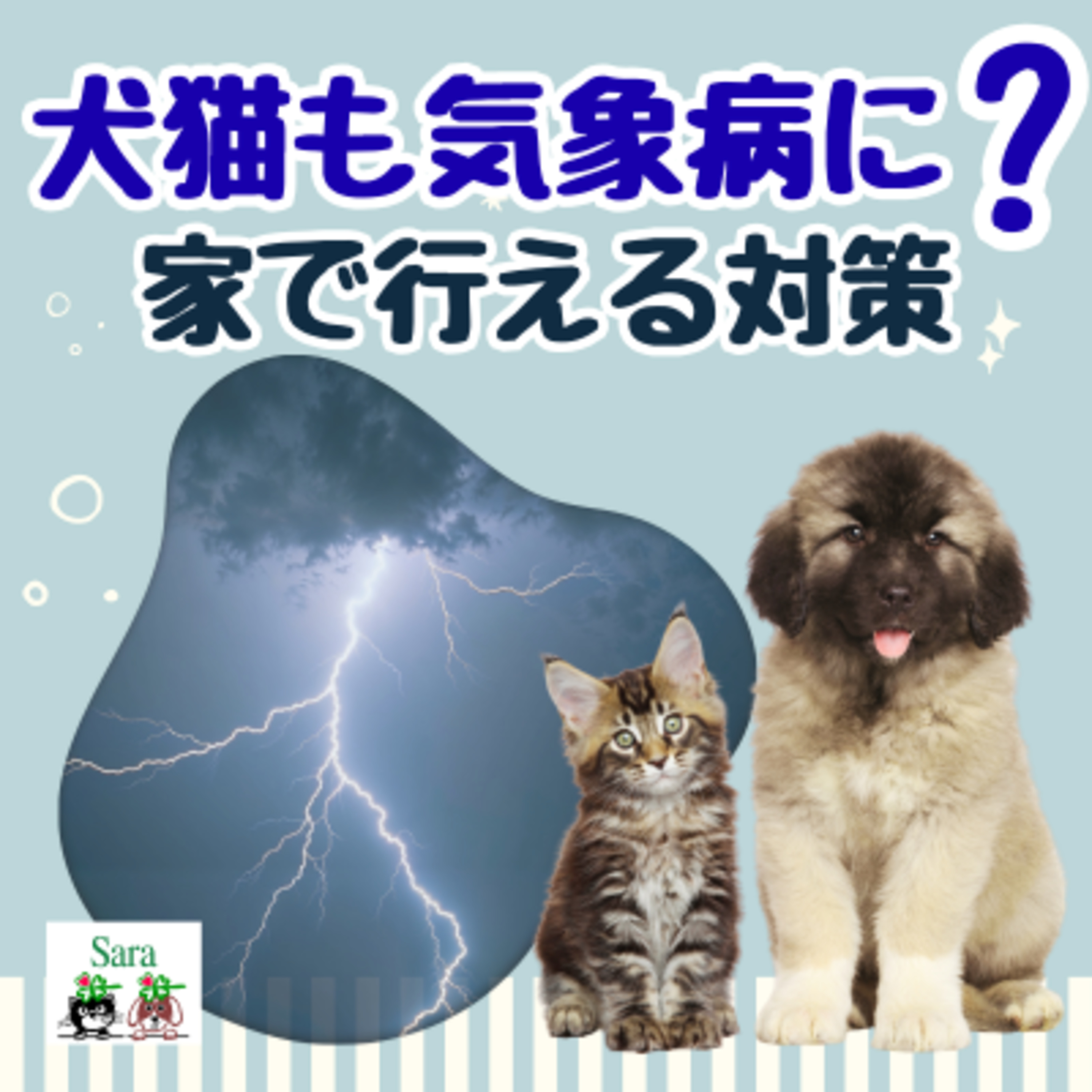 #1084. 犬猫も気象病になる？家で行える対策は？（質問に回答） episode artwork