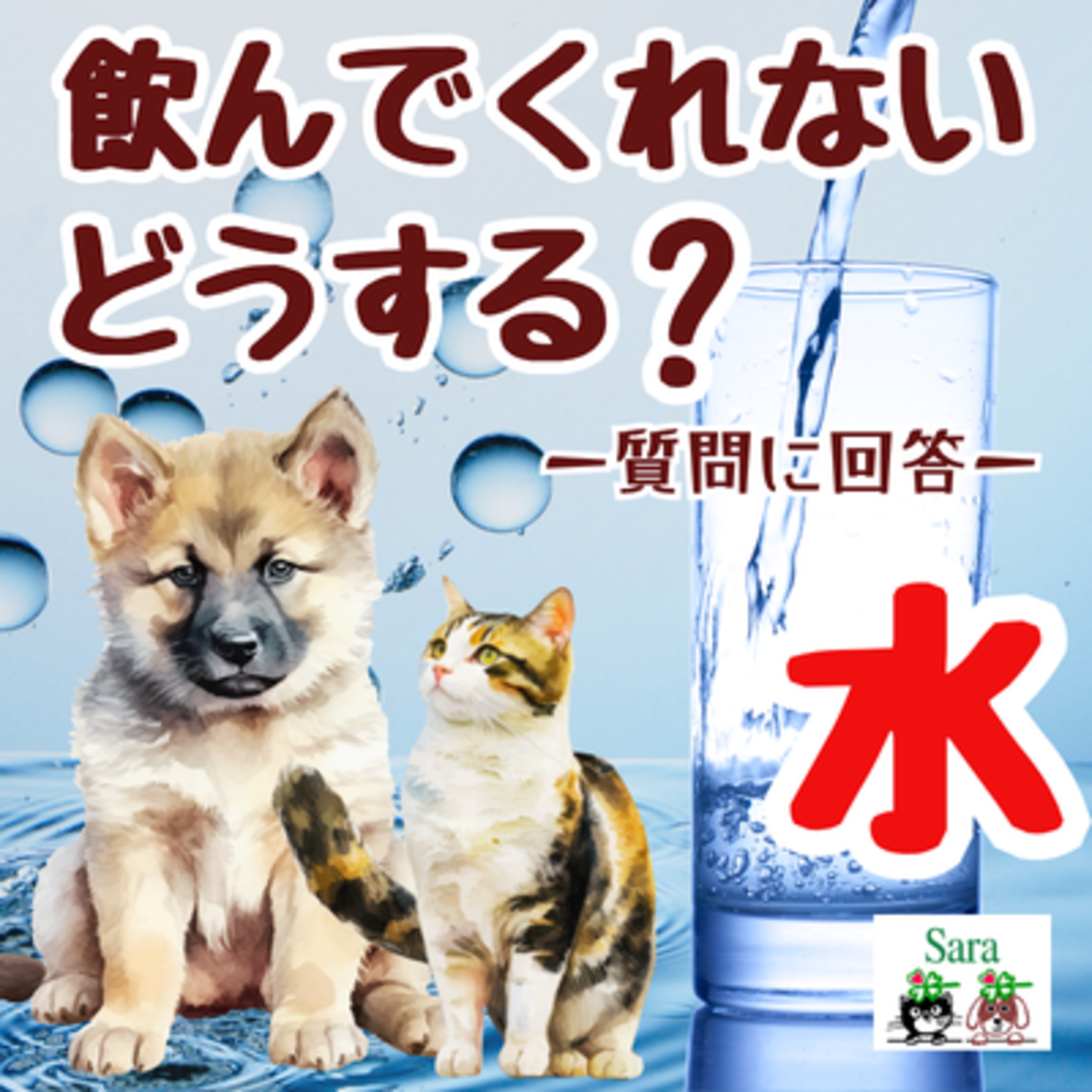#1088. 水を飲んでくれない！どうしたらイイ？（質問に回答） episode artwork