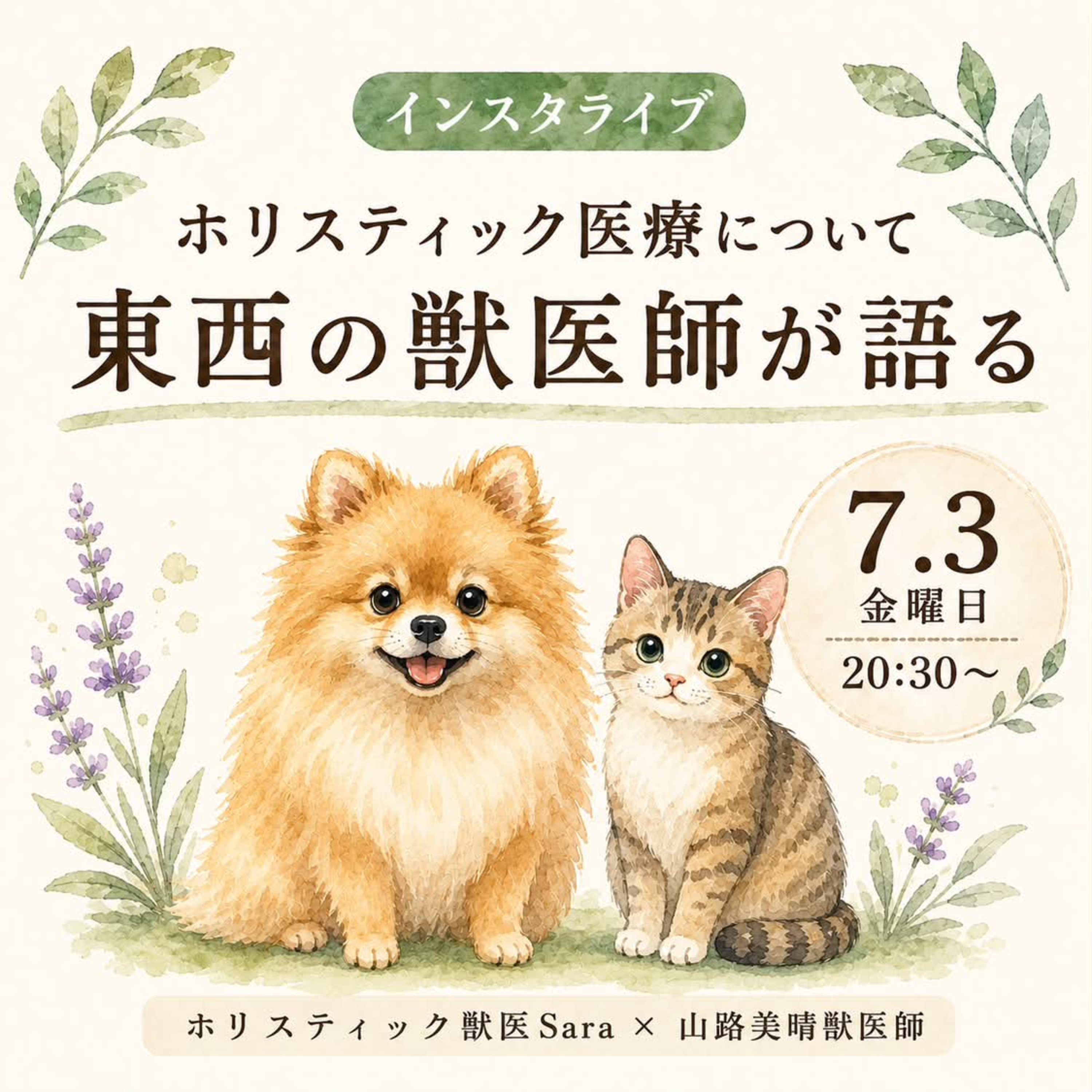 ホリスティック医療について、東西の獣医師が語る！（インスタLIVEアーカイブ） episode artwork
