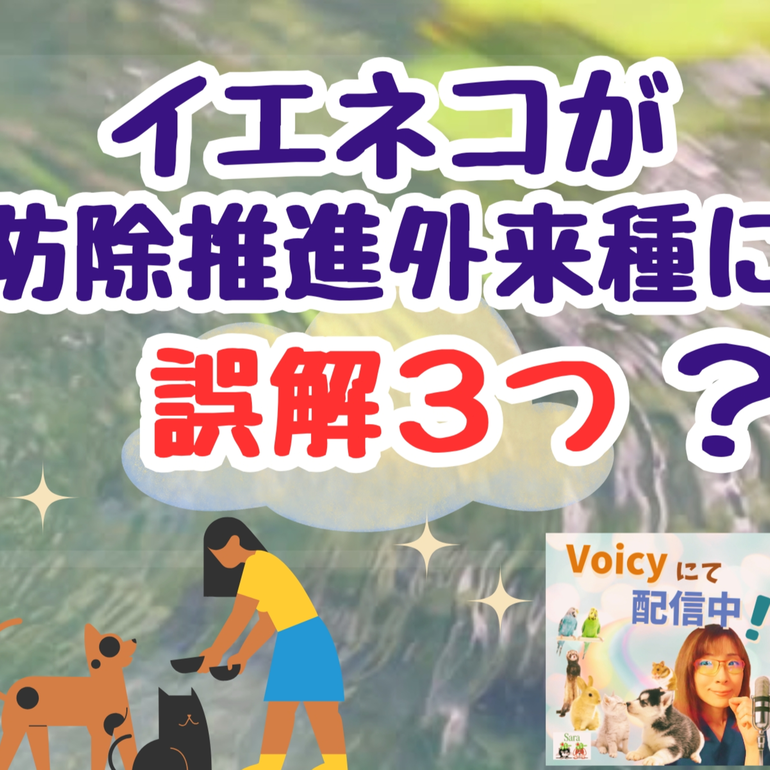 イエネコが防除推進外来種に？誤解３つ（インスタLIVEアーカイブ）🐶🐱 episode artwork