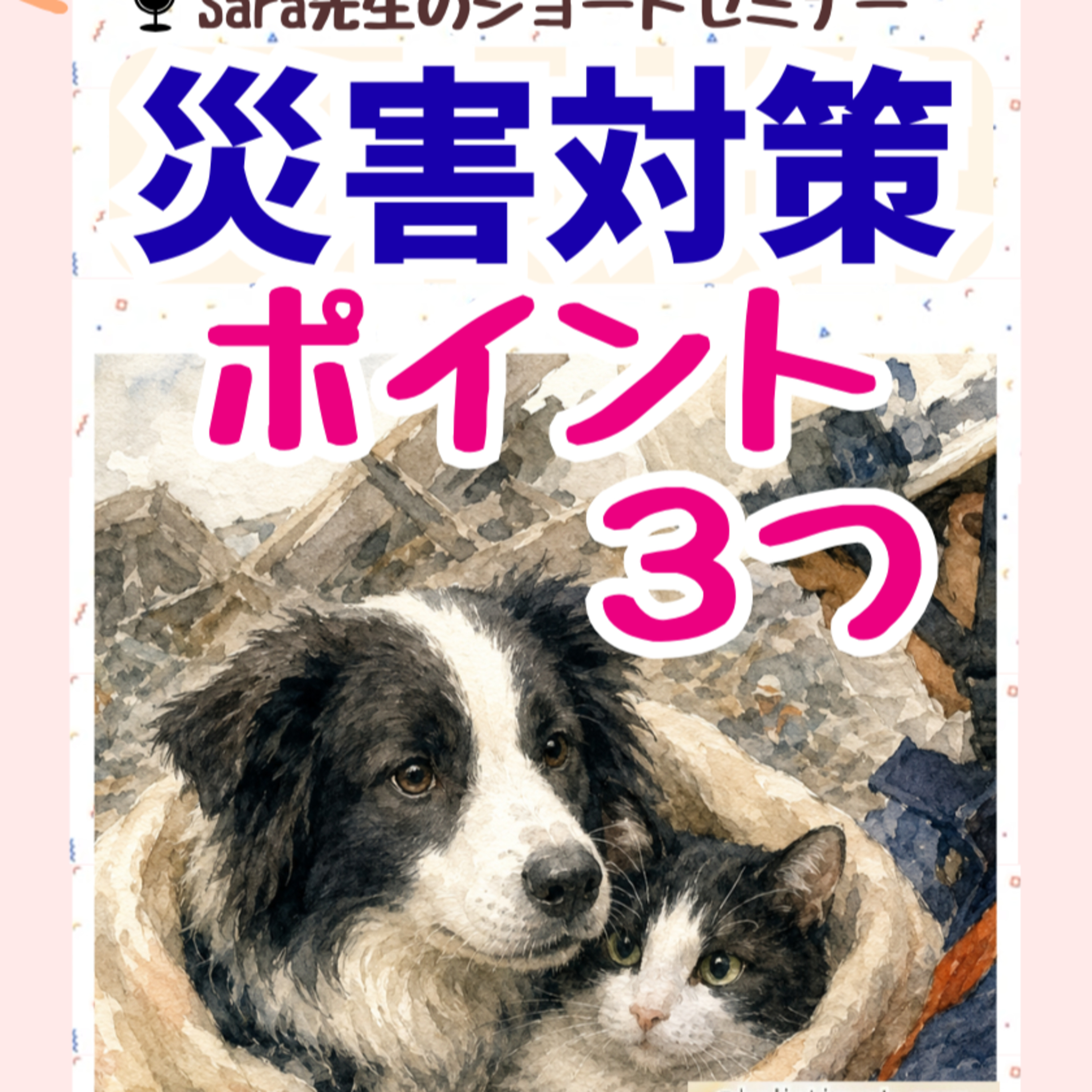 限定LIVE🍀災害対策ポイント３つ（インスタLIVEアーカイブ） episode artwork