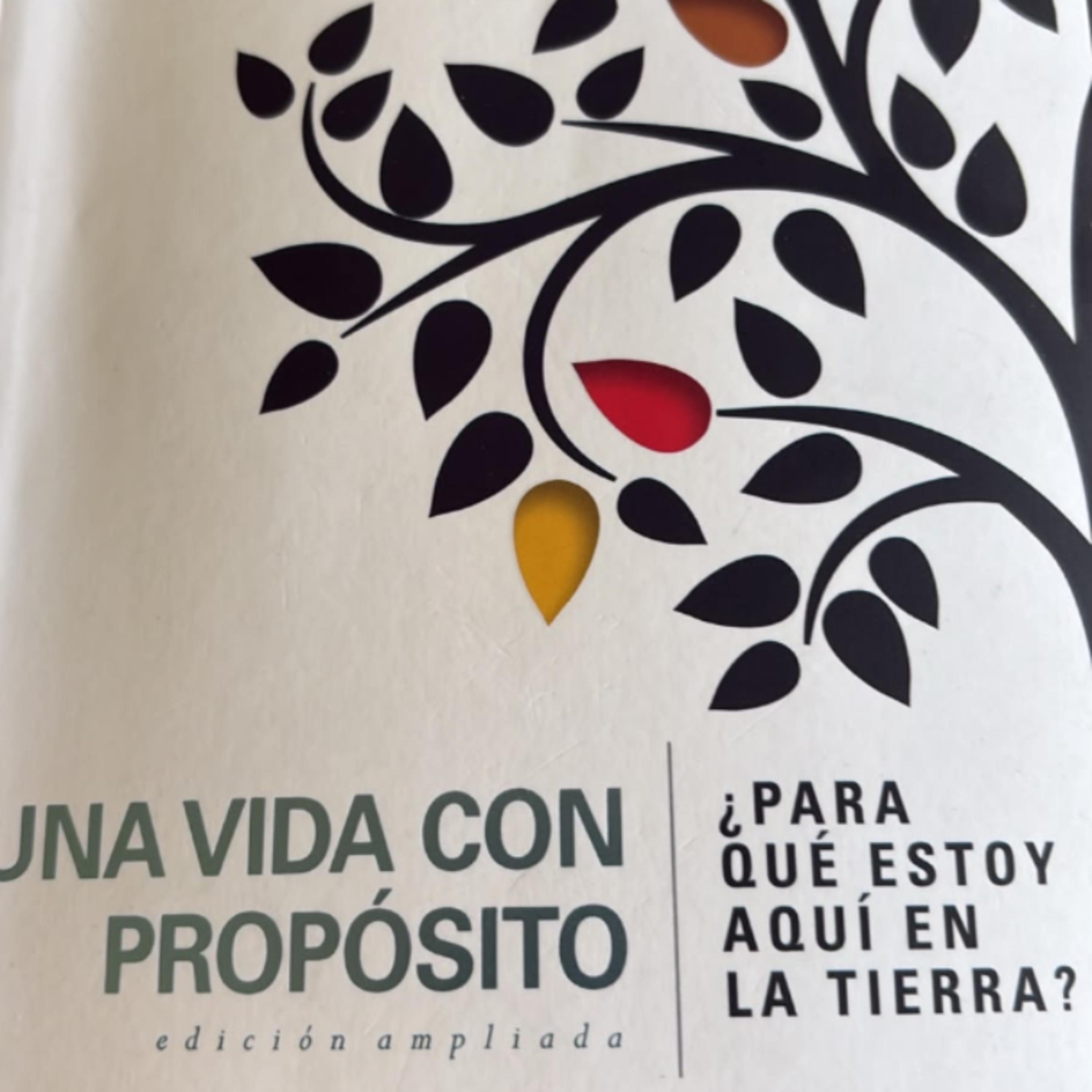 Una vida con propósito  episode artwork