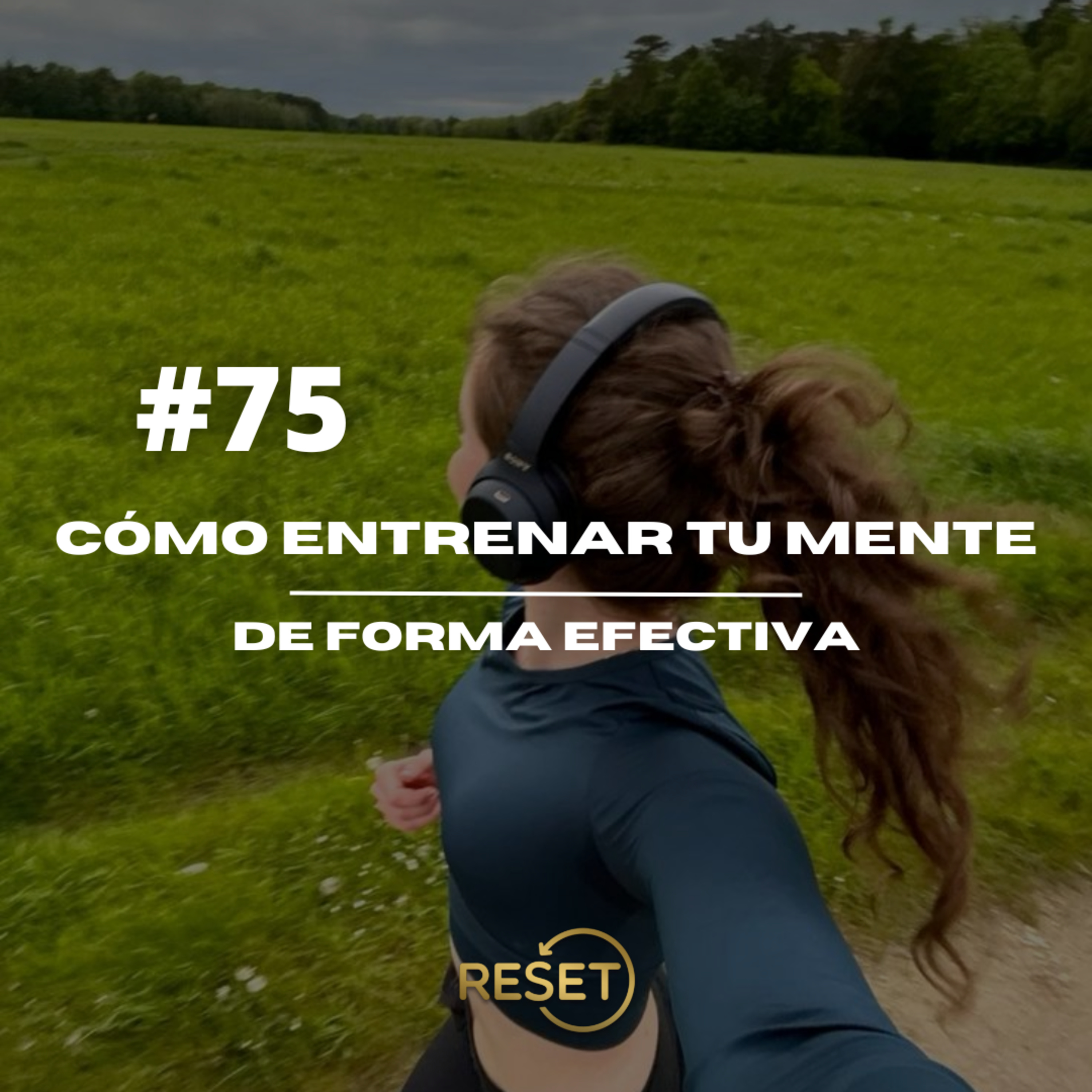 Portada de RESET