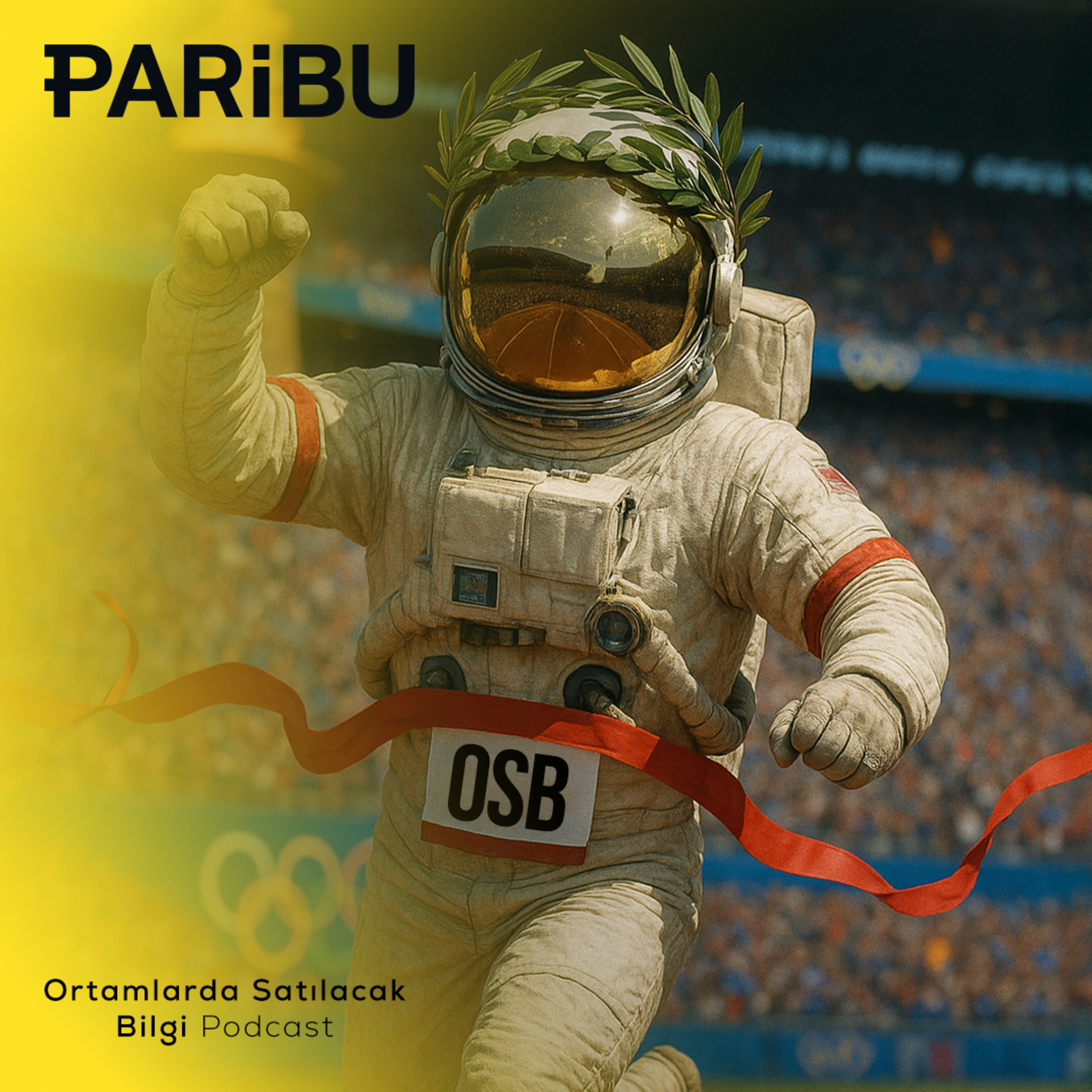 Ortamlarda Satılacak Bilgi cover image