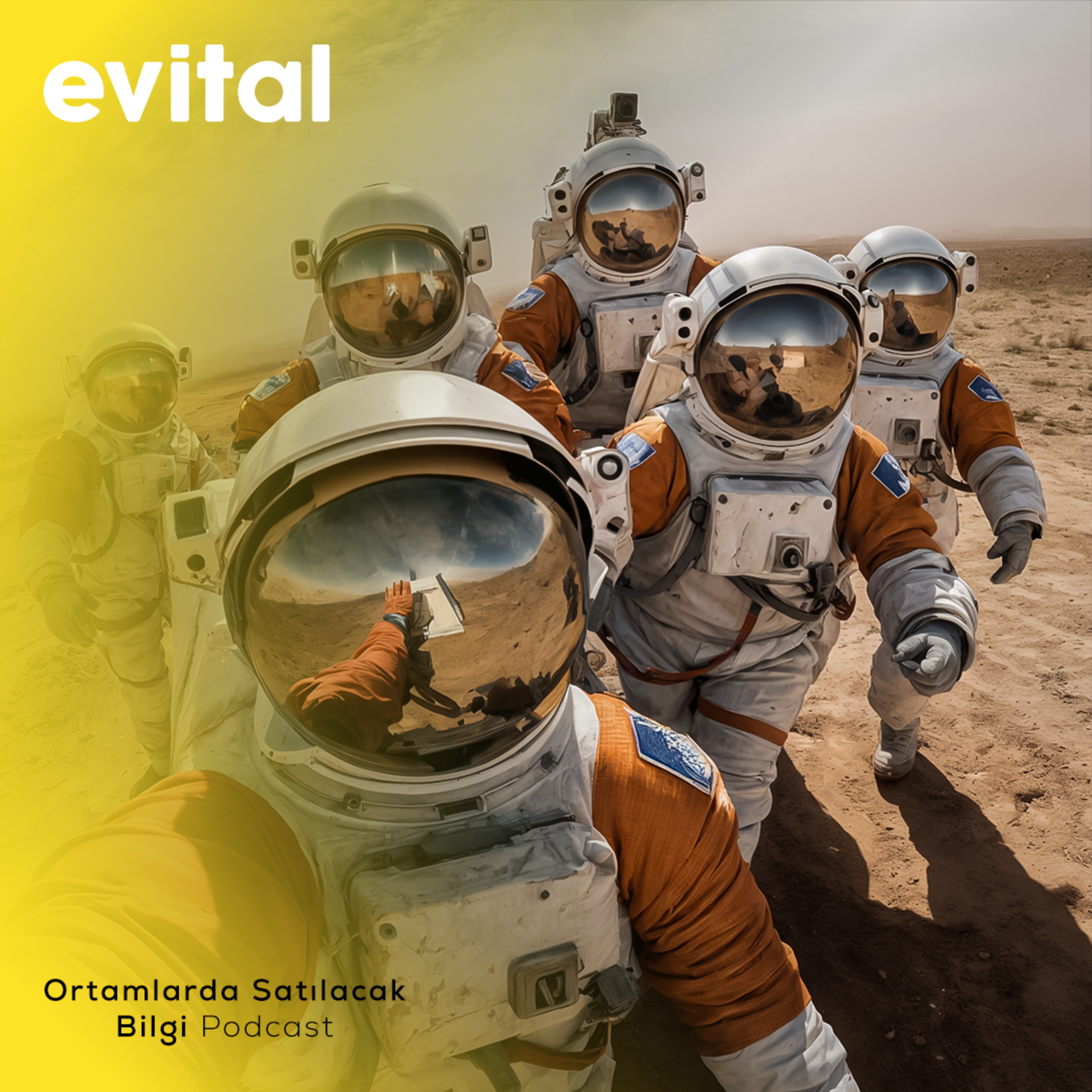 Ortamlarda Satılacak Bilgi cover image