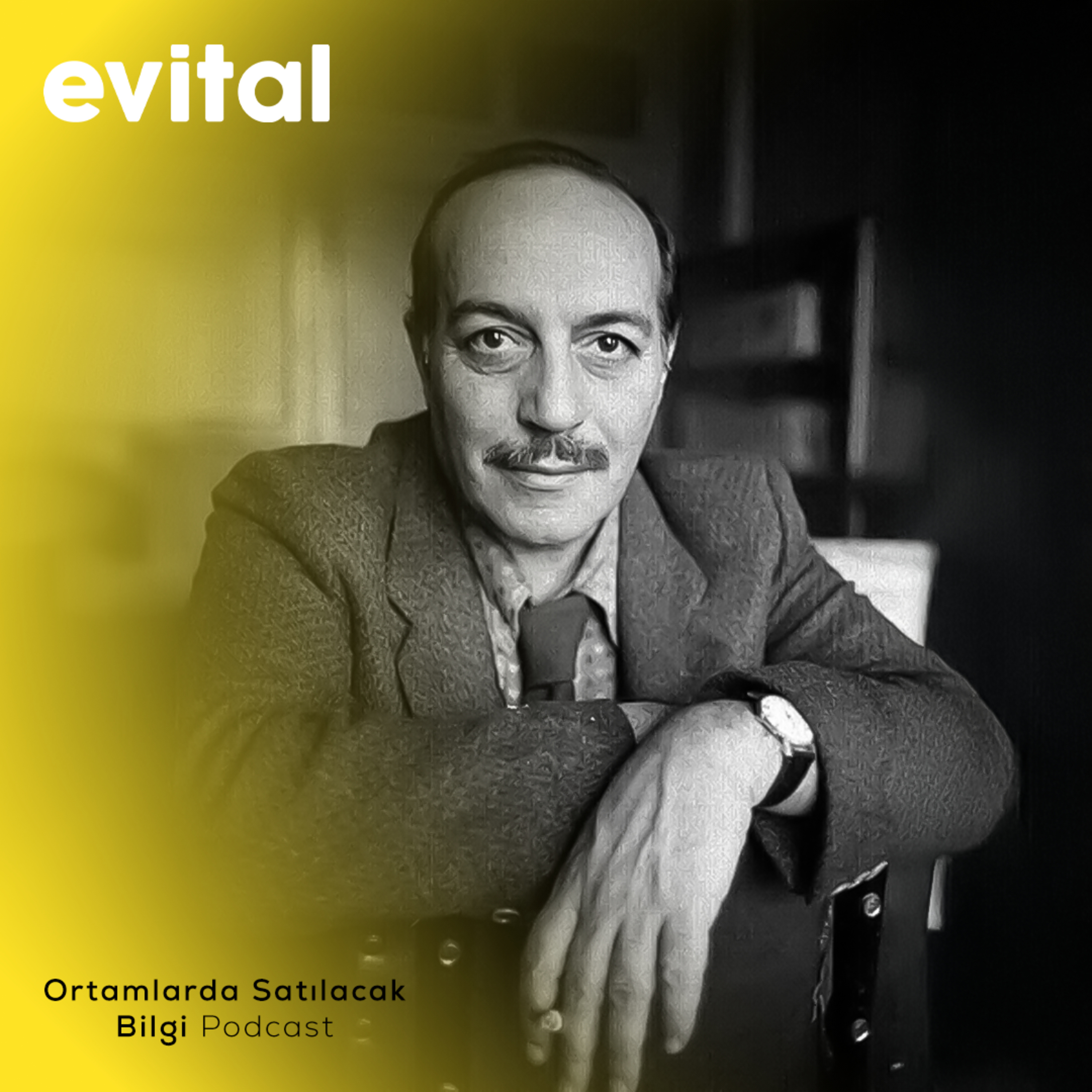 Cemal Süraya/ Life is Short Birds are Flying