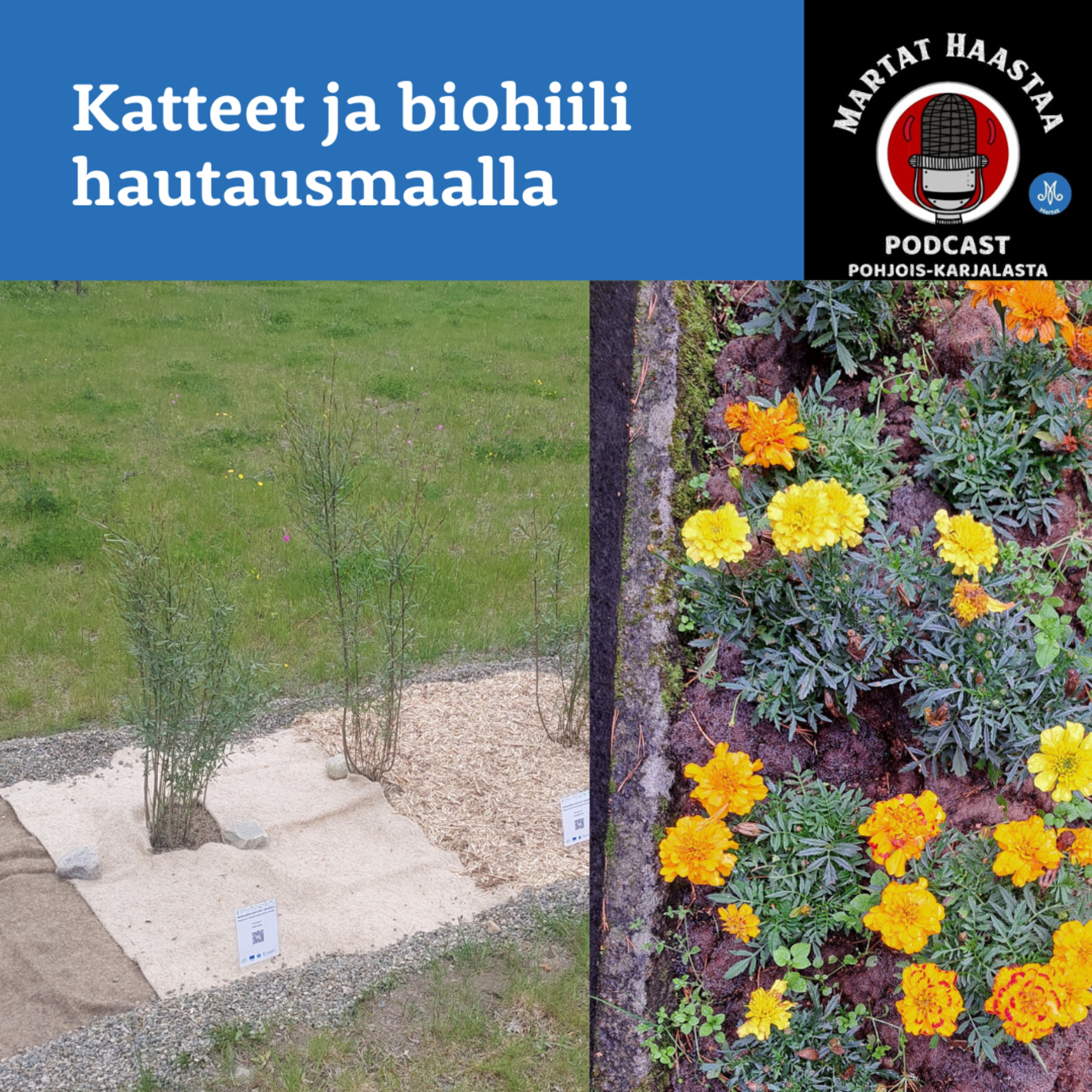 Jakso 8/2025 Katteet ja biohiili hautausmaalla episode artwork