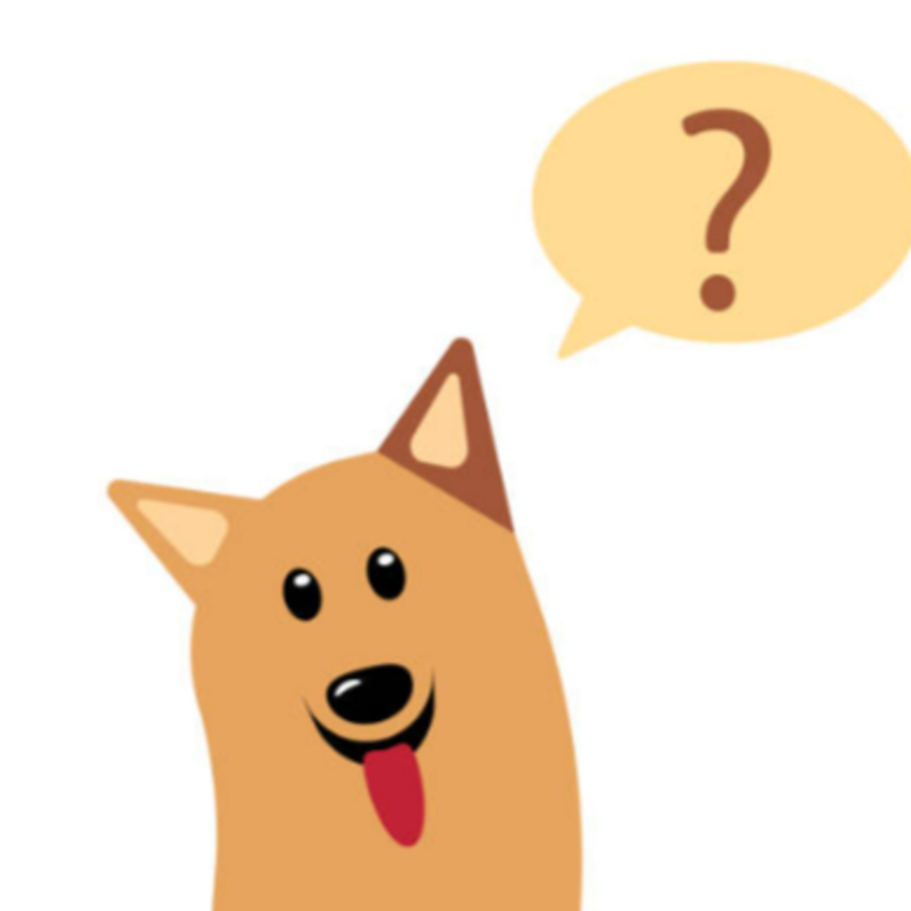 What Do Dogs Think About?