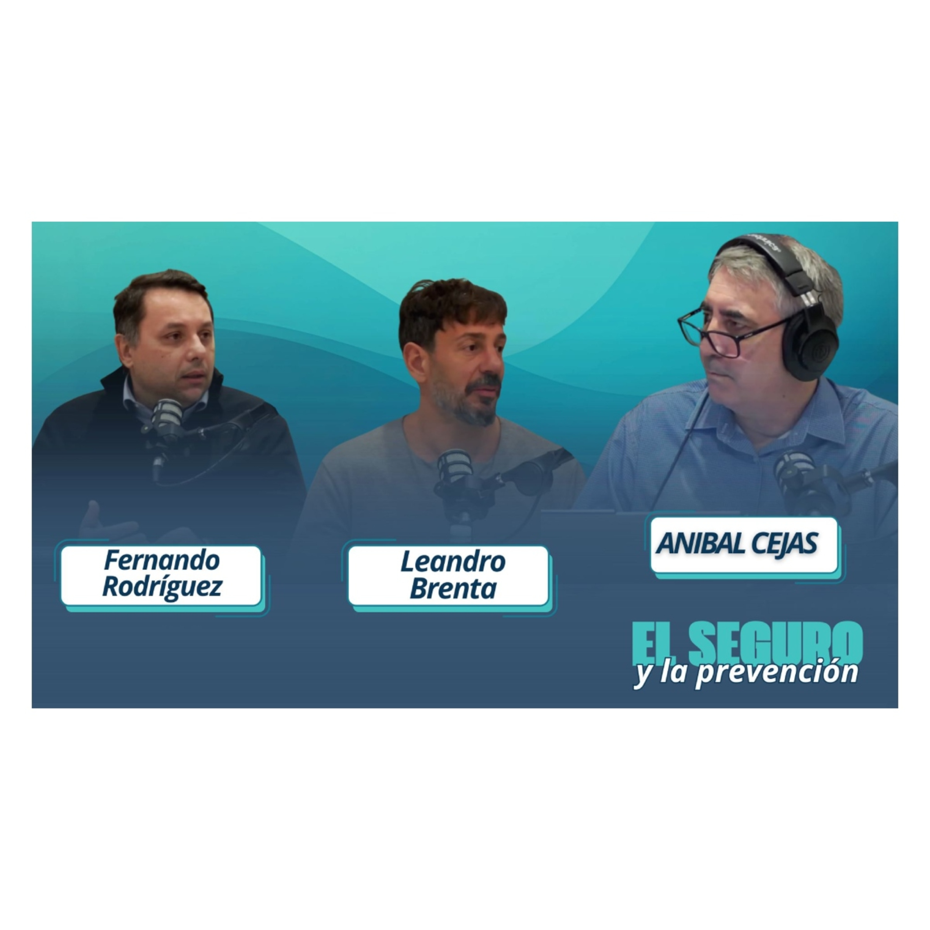 Tendencias de la siniestralidad automotor episode artwork
