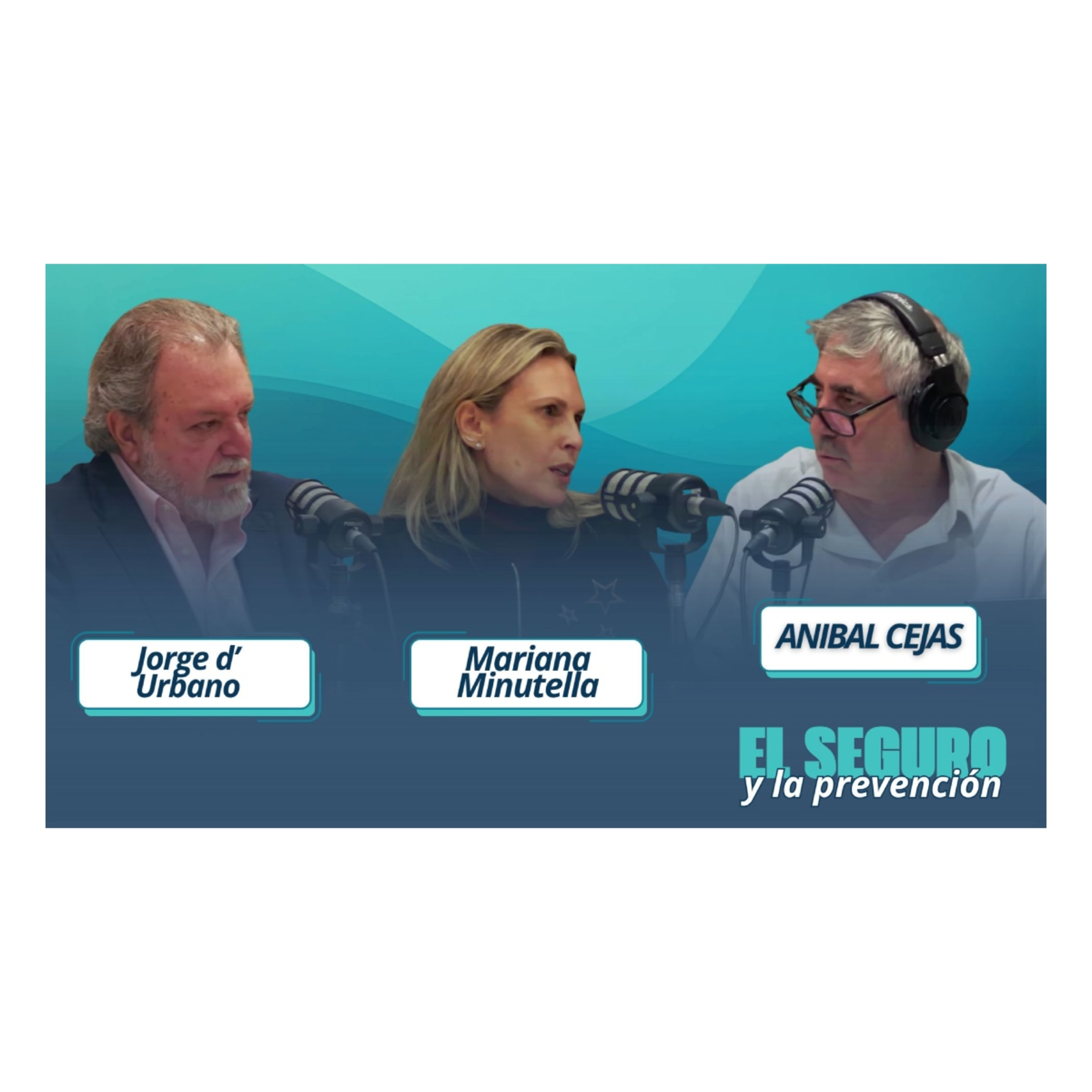 El mercado de mascotas crece: así son los nuevos servicios de salud y asistencia. Oportunidad para PAS. episode artwork