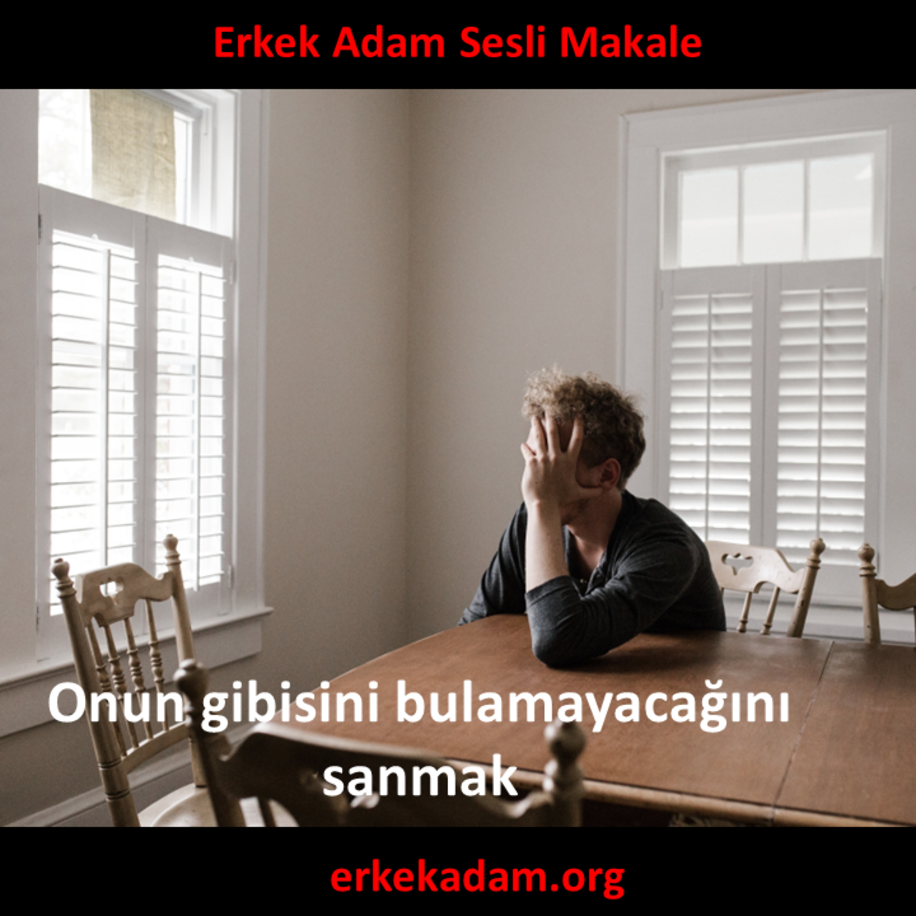 Bir daha onun gibisini bulamayacağını sanmak episode artwork