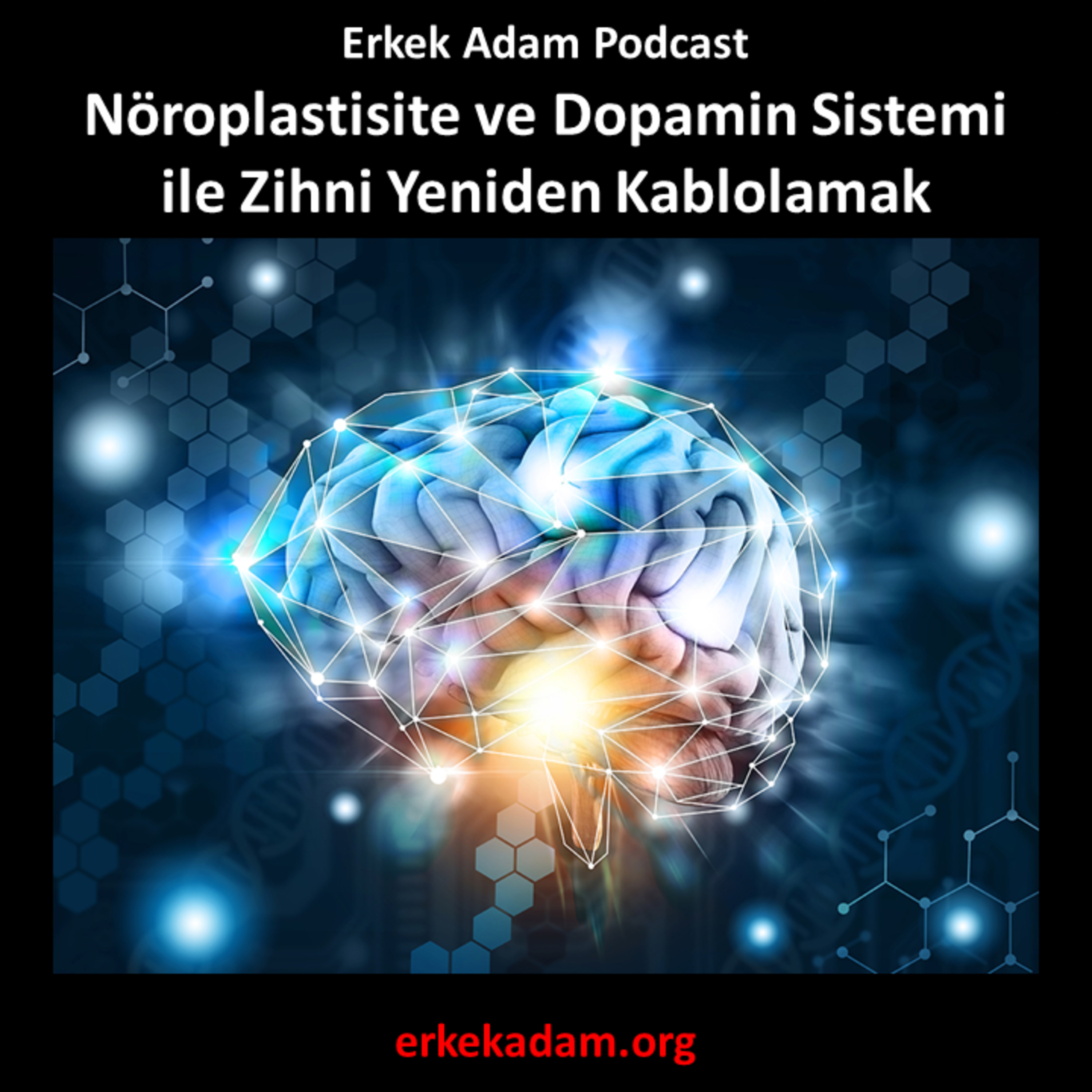 Nöroplastisite ve Dopamin Sistemi ile Beyni Yeniden Kablolama episode artwork