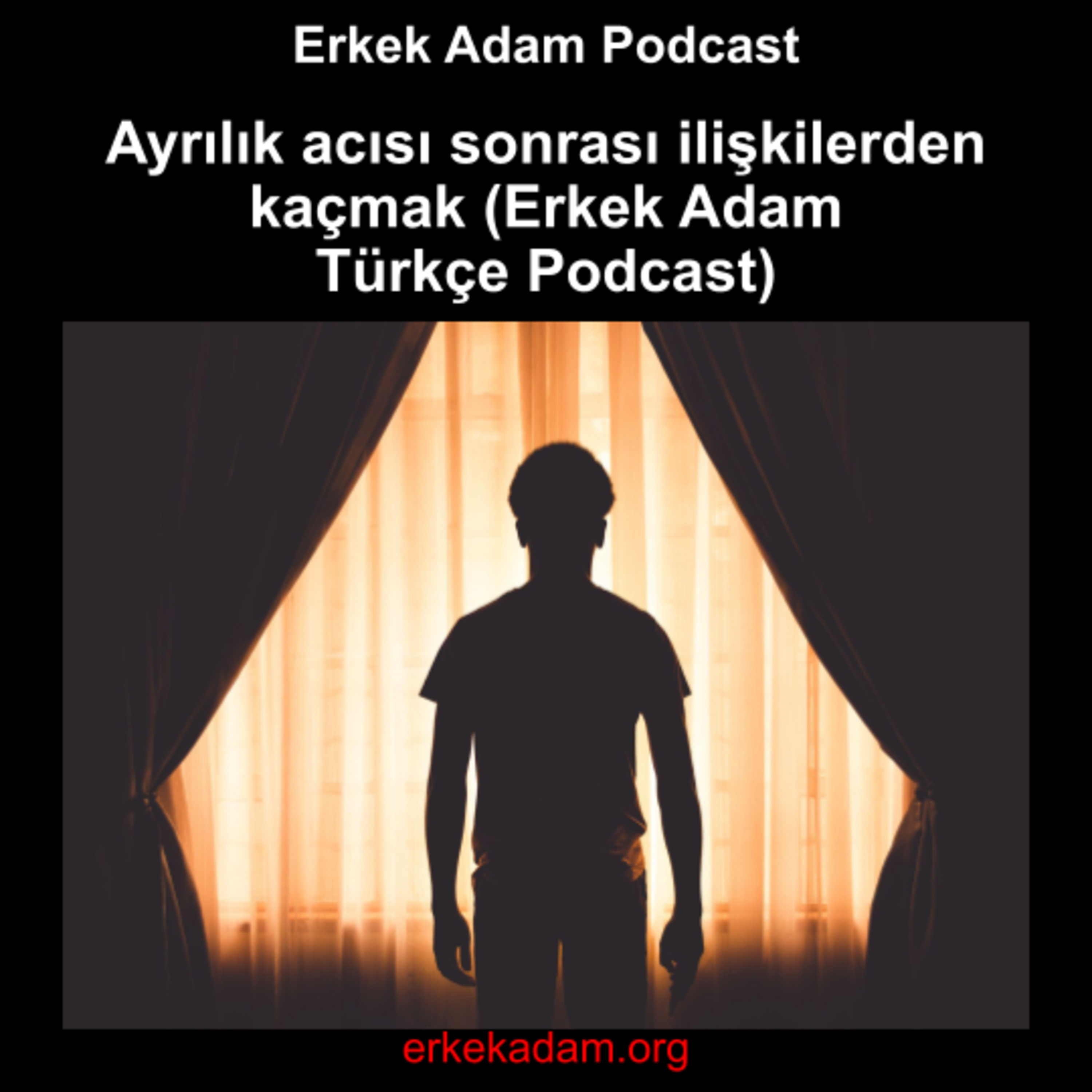 Ayrılık acısı sonrası ilişkilerden kaçmak (Erkek Adam Türkçe Podcast) episode artwork
