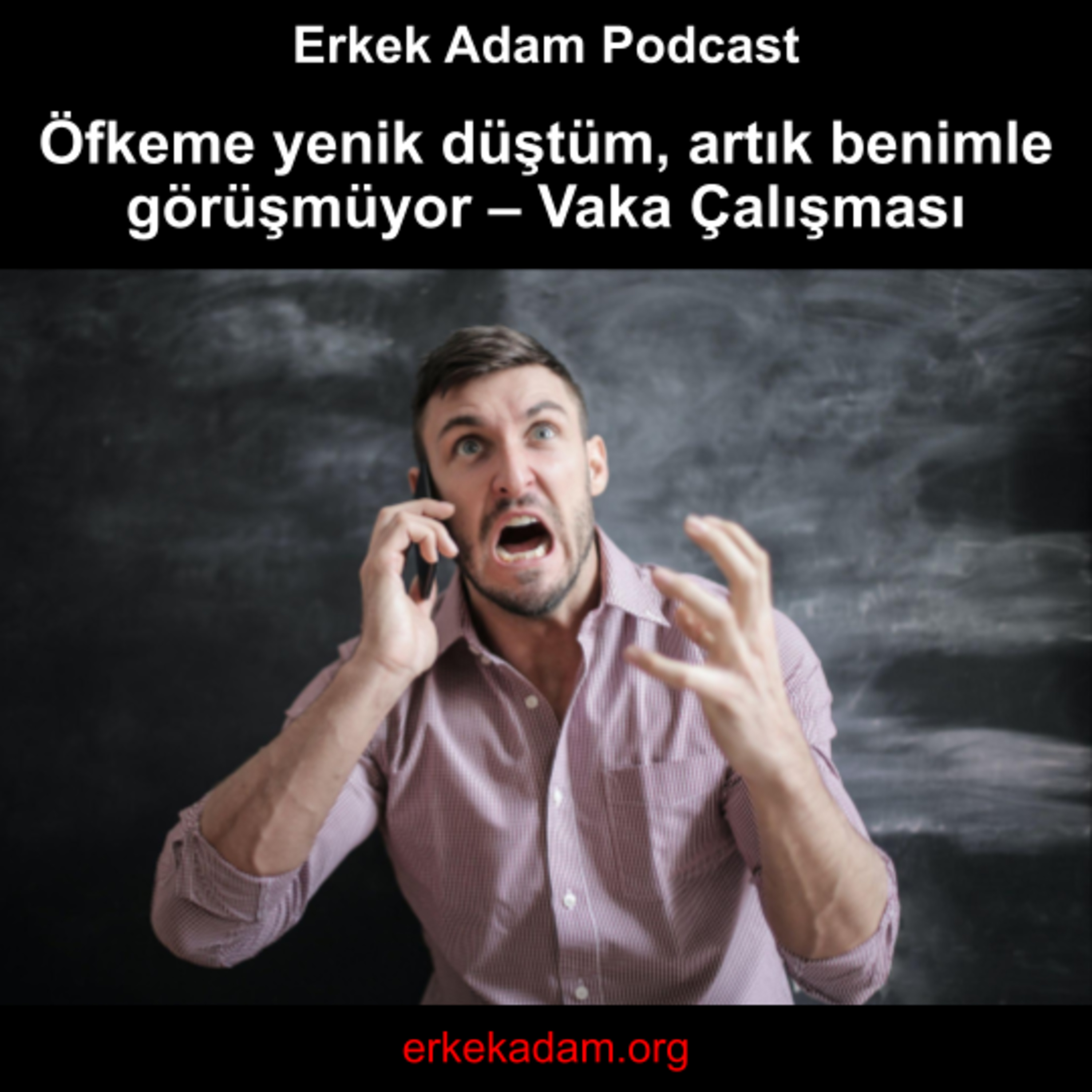 Öfkeme yenik düştüm, artık benimle görüşmüyor – Vaka Çalışması episode artwork