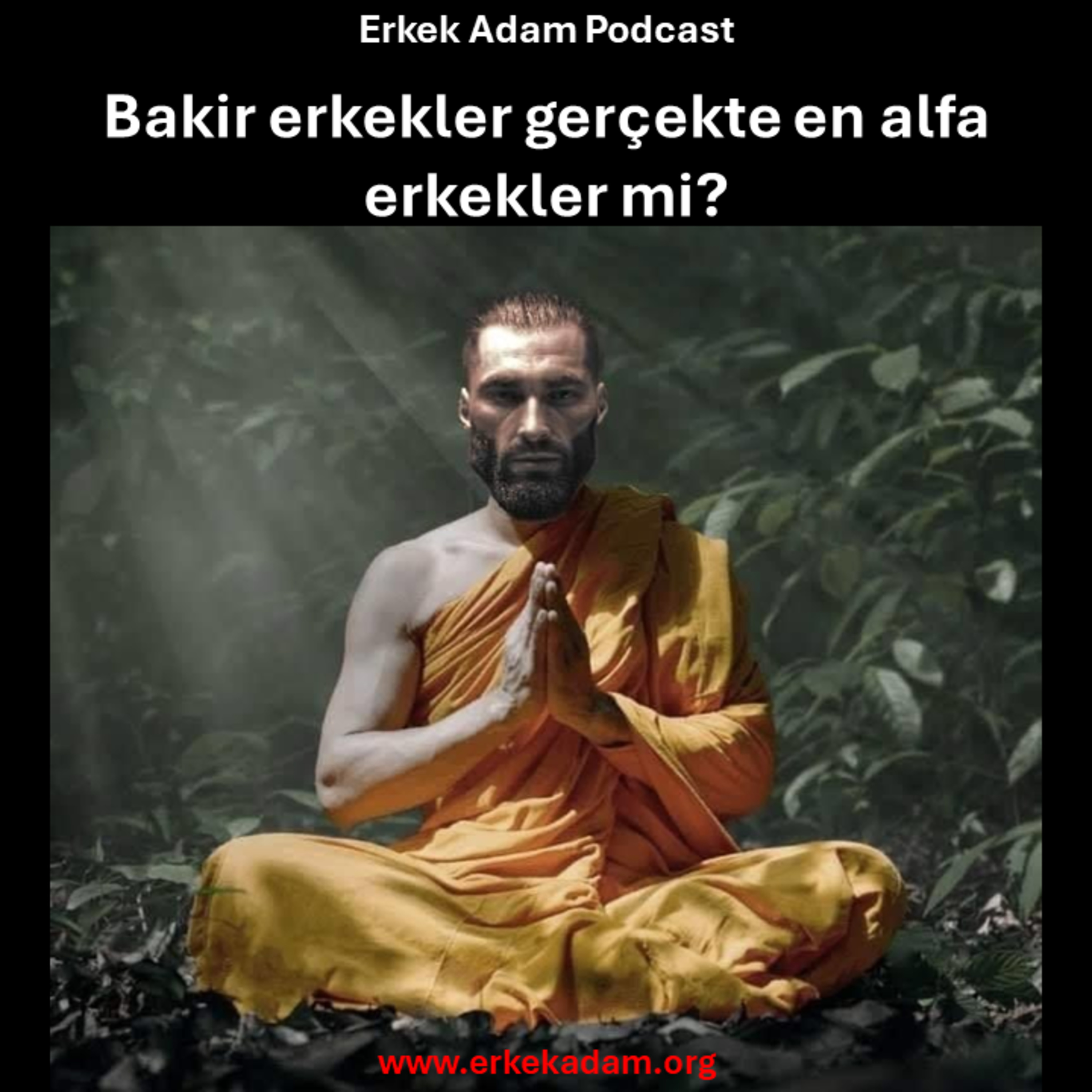 Bakir erkekler gerçekte en alfa erkekler mi? episode artwork