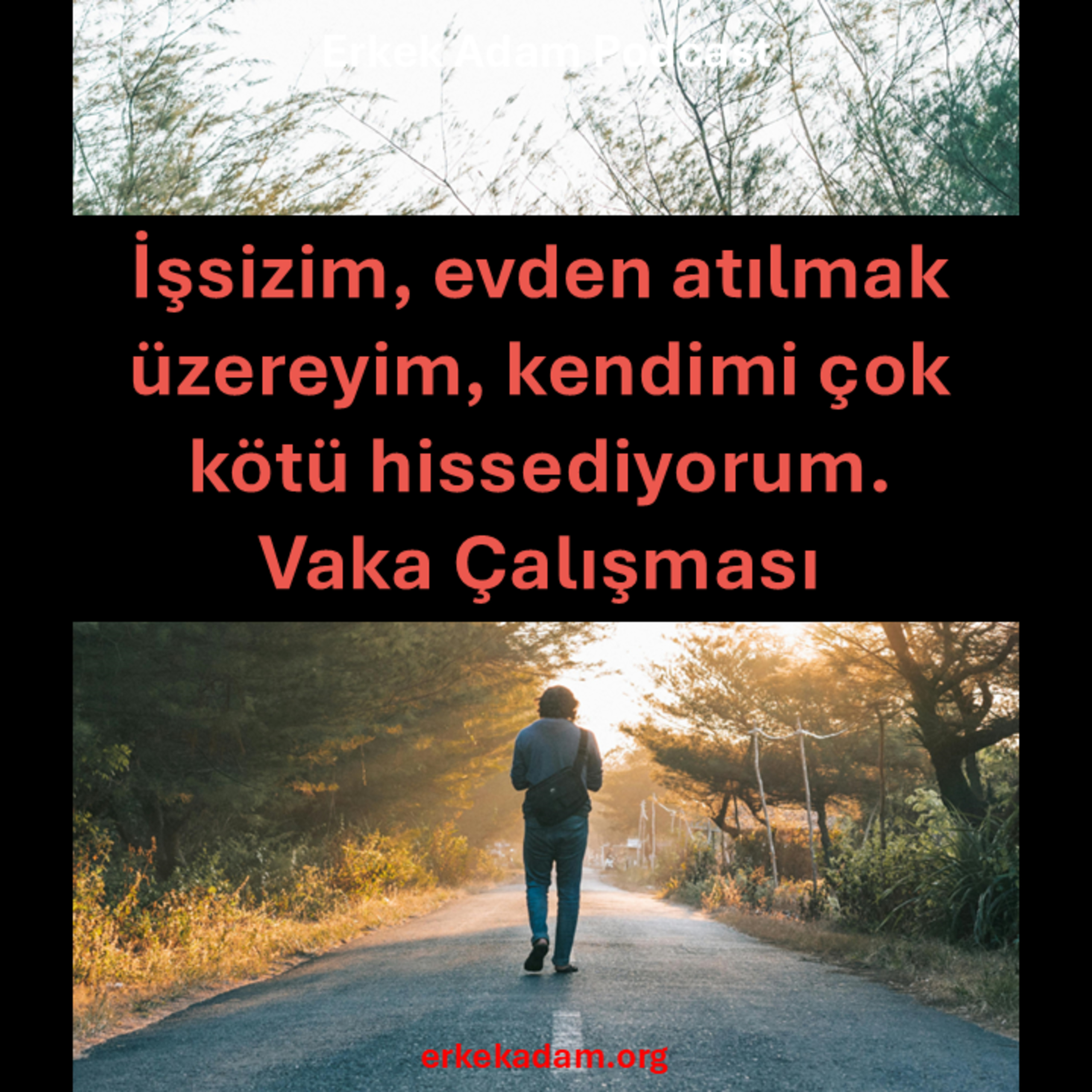 İşsizim, evden atılmak üzereyim ve ne yapacağımı bilmiyorum – Vaka Çalışması episode artwork