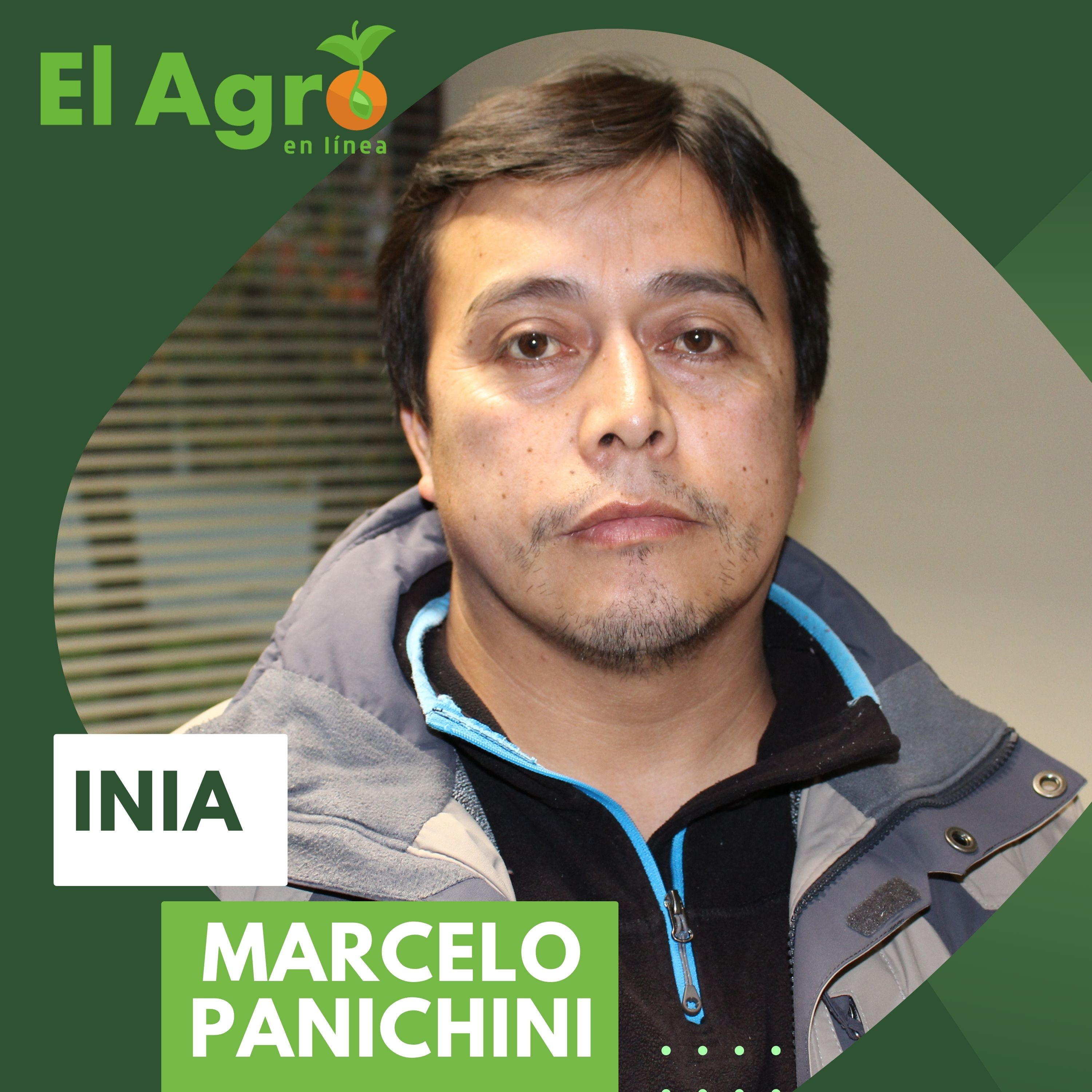 El Agro En Linea