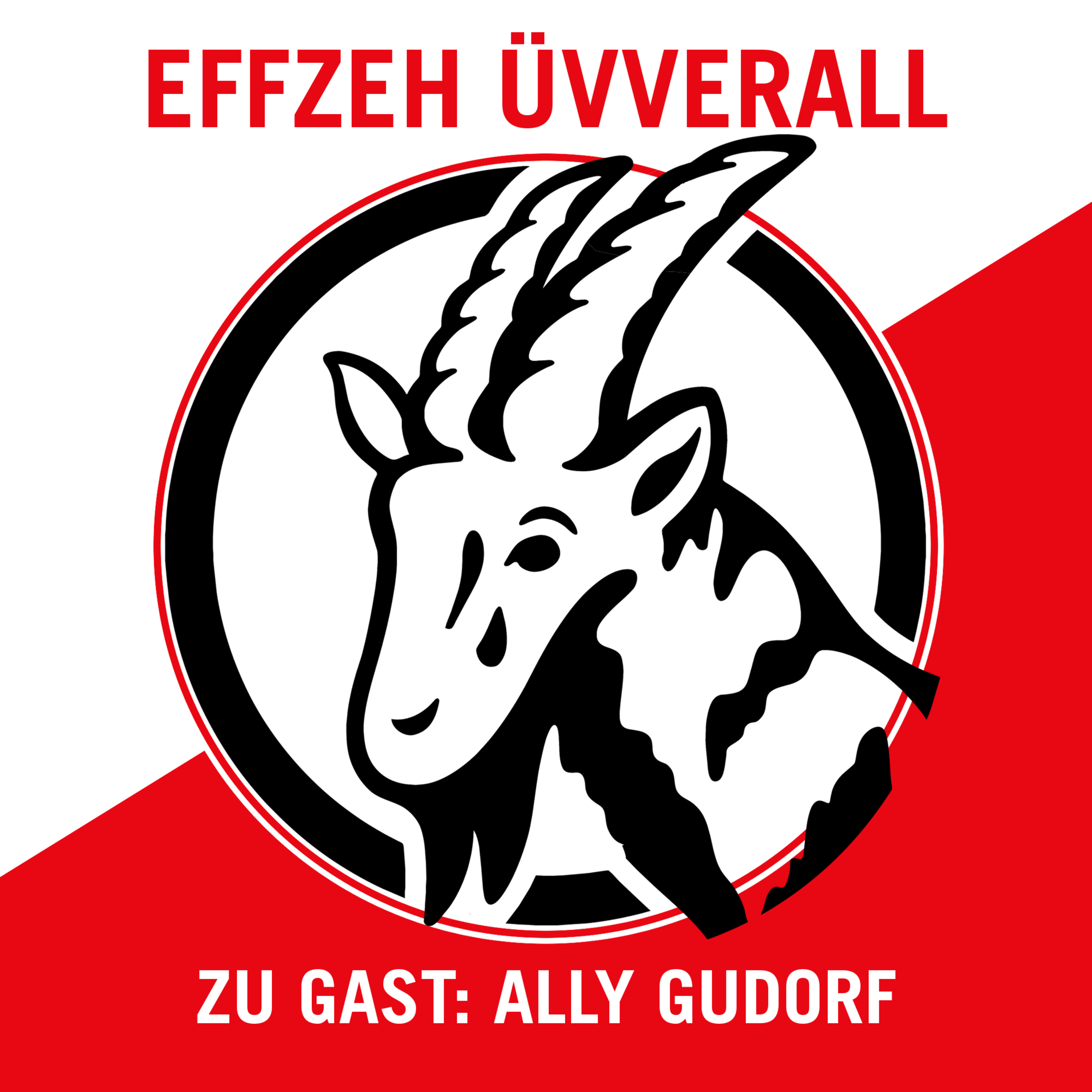Effzeh Üvverall