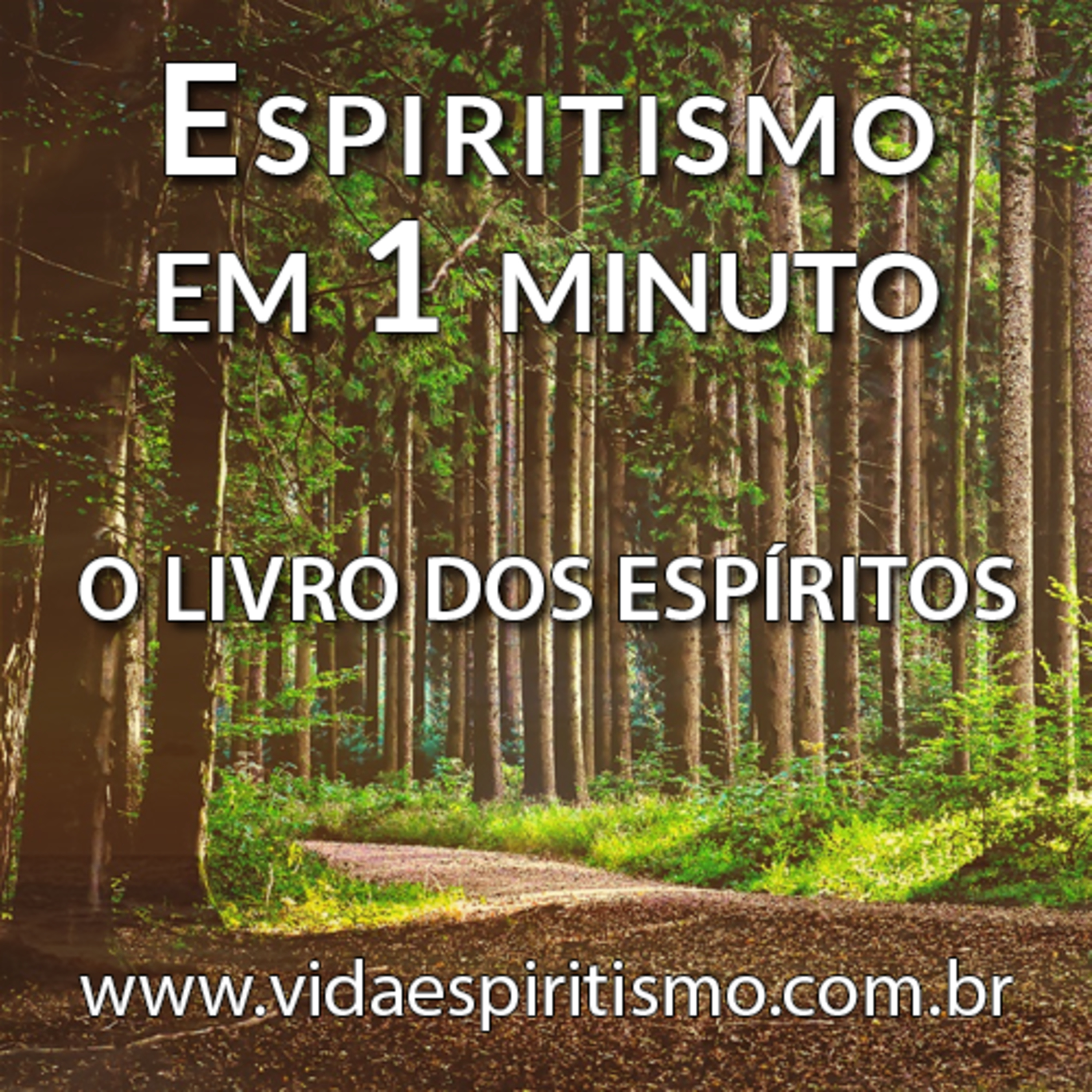 Forma e onipresença dos Espíritos (parte 2) | Questões 91 e 92 | O Livro dos Espíritos | Espiritismo em 1 minuto #T2E46 episode artwork