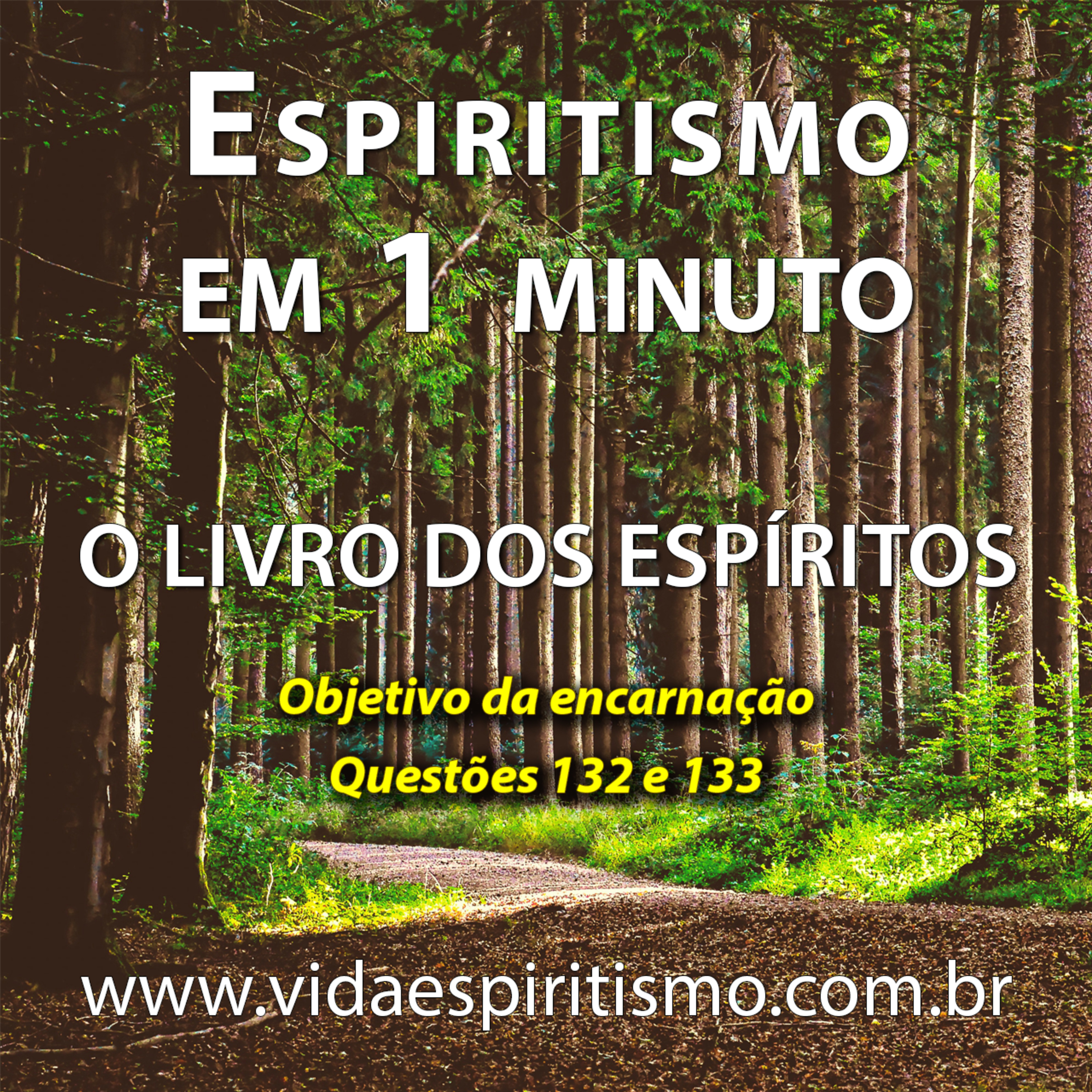 Objetivo da encarnação | Questões 132 e 133 | Espiritismo em 1 minuto #T2E63 episode artwork