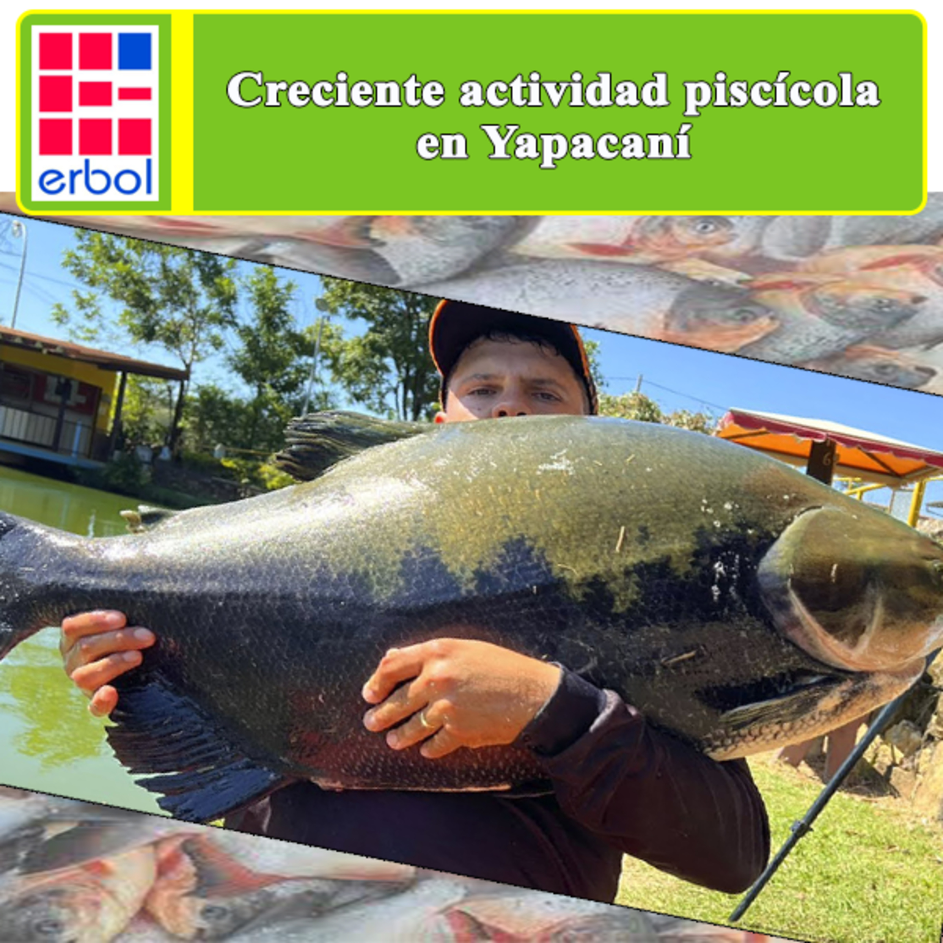Erbol - Fuente Ciudadana