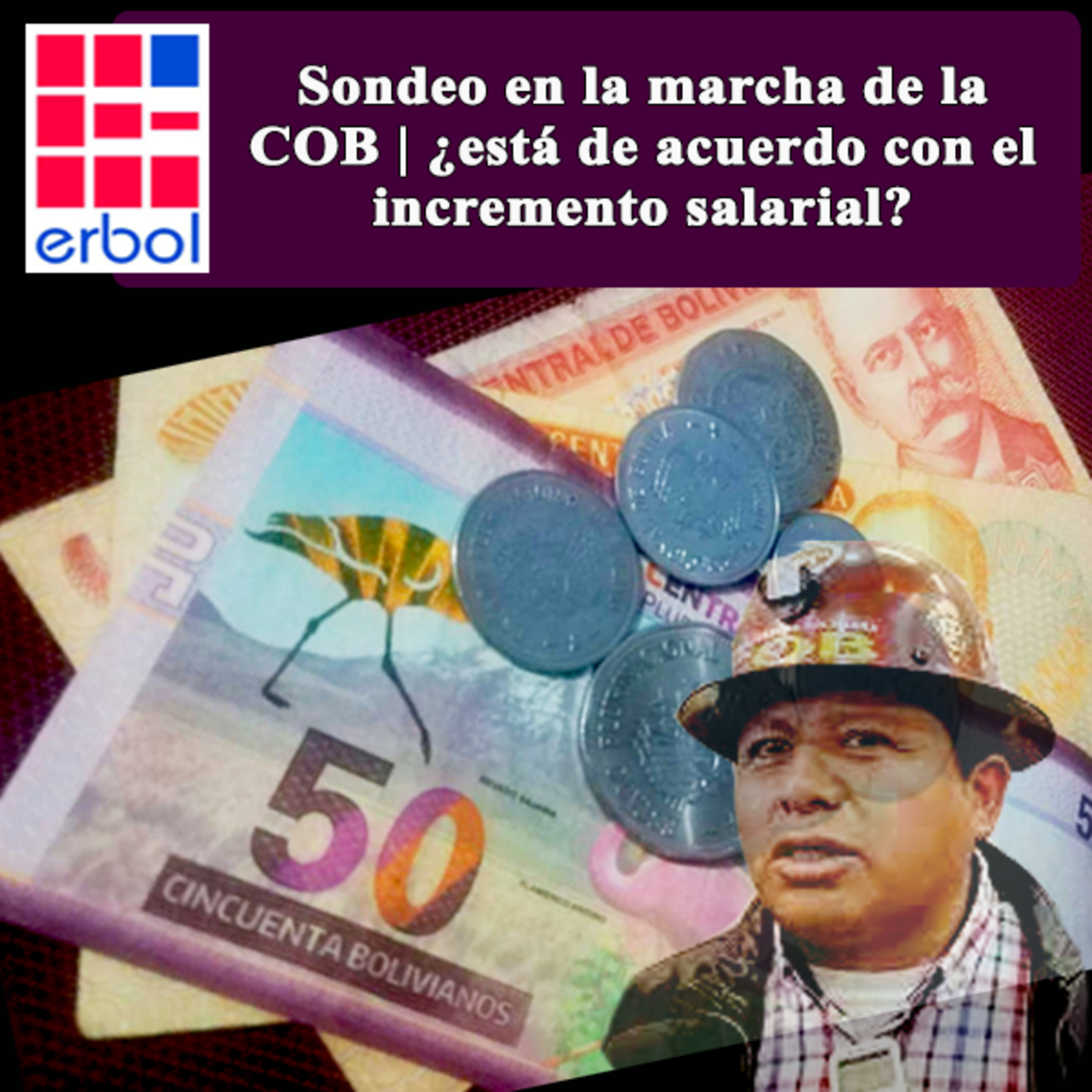 Sondeo en la marcha de la COB | ¿está de acuerdo con el incremento salarial? episode artwork