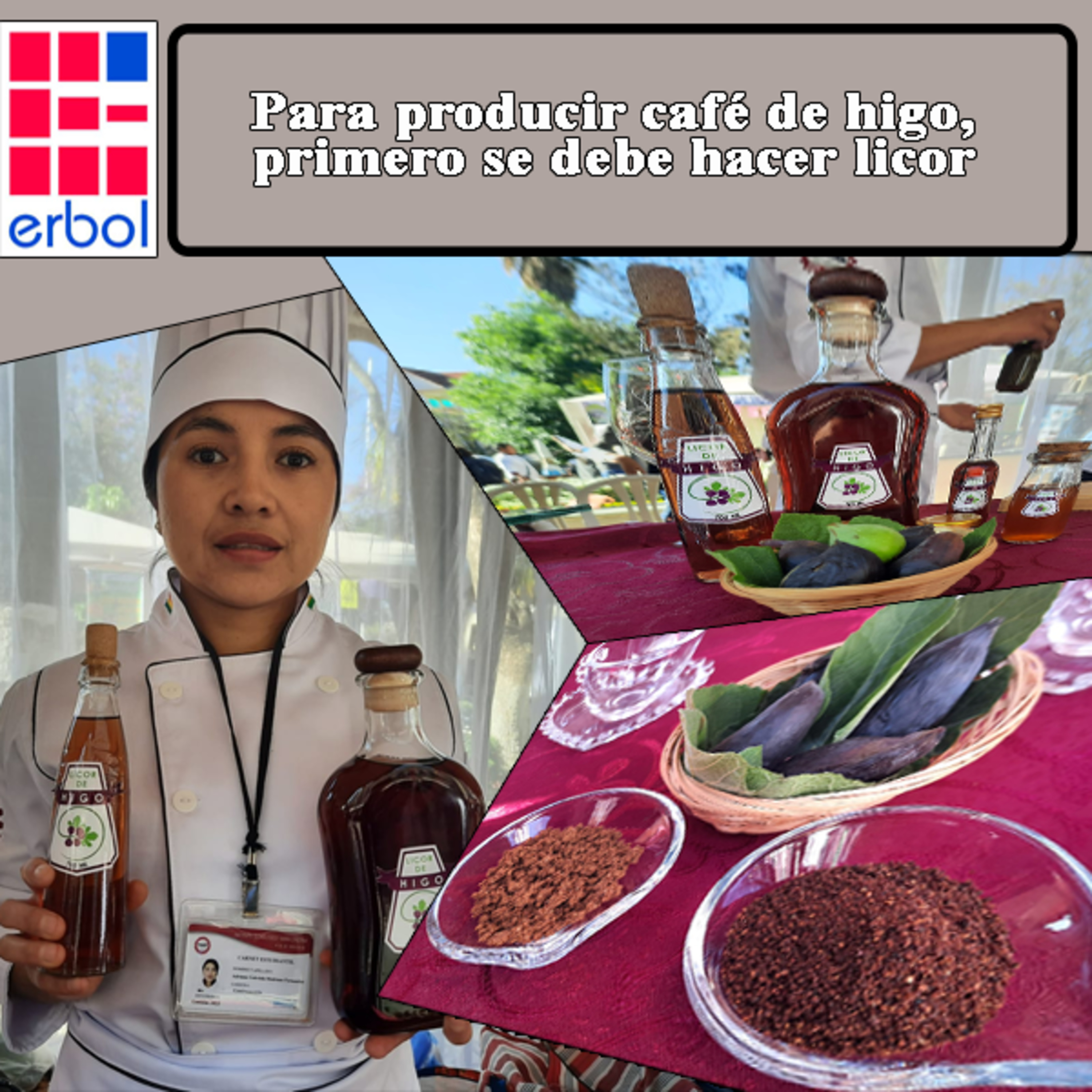 Para producir café de higo, primero se debe hacer licor episode artwork