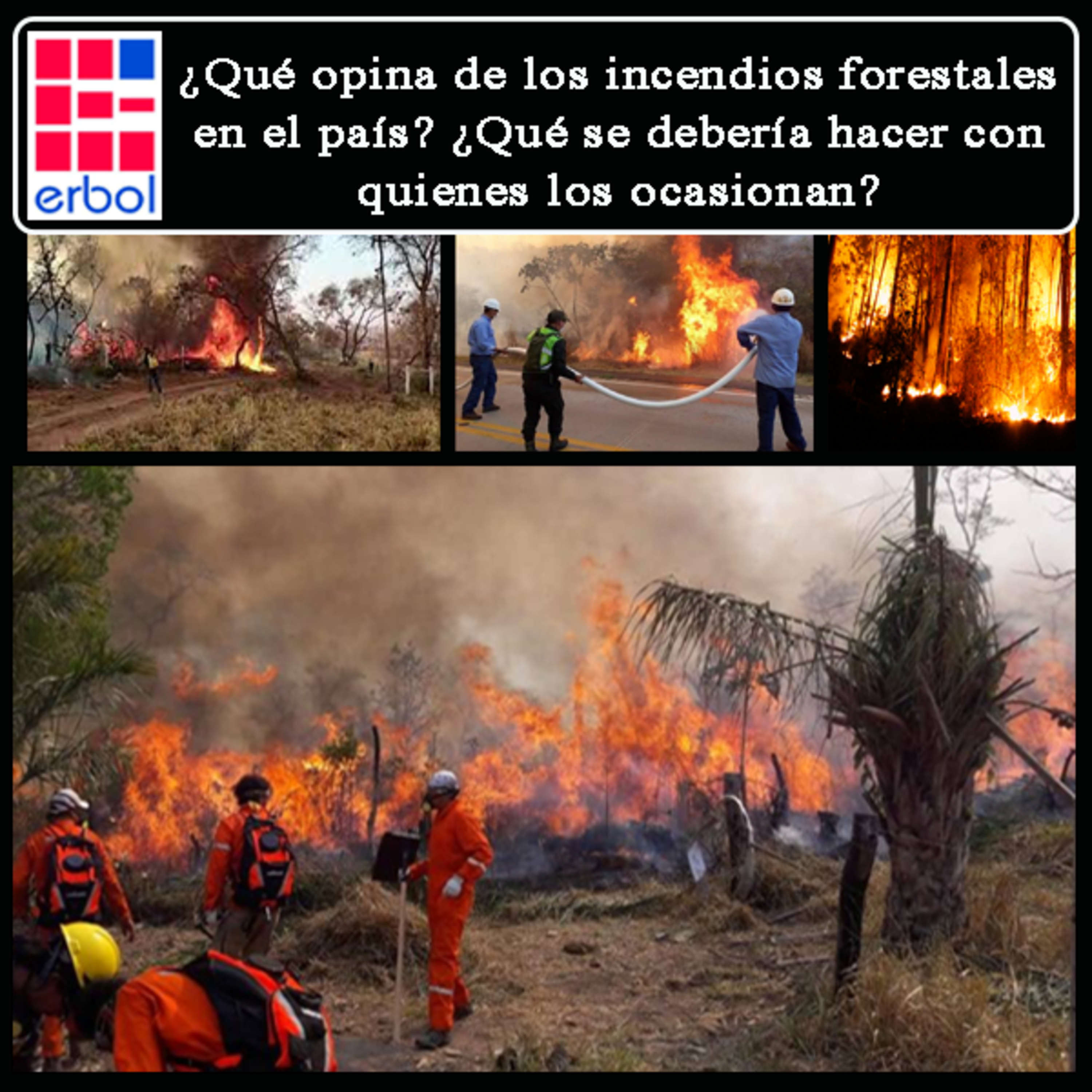 ¿Qué opina de los incendios forestales en el país? ¿Qué se debería hacer con quienes los ocasionan? episode artwork