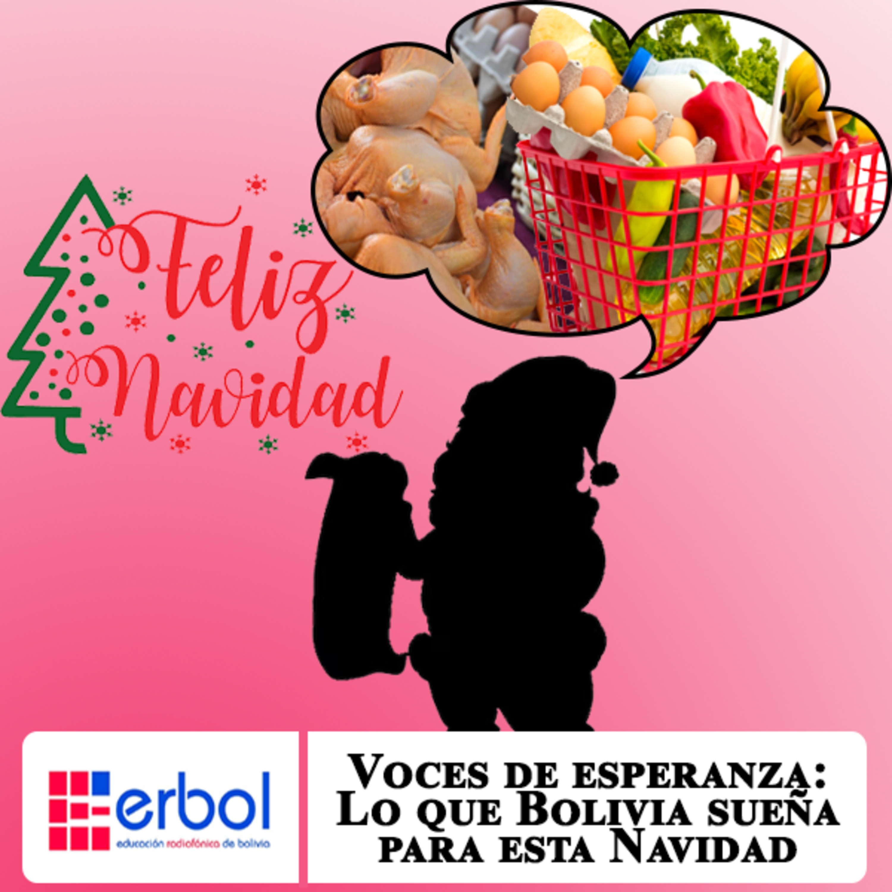 Erbol - Fuente Ciudadana