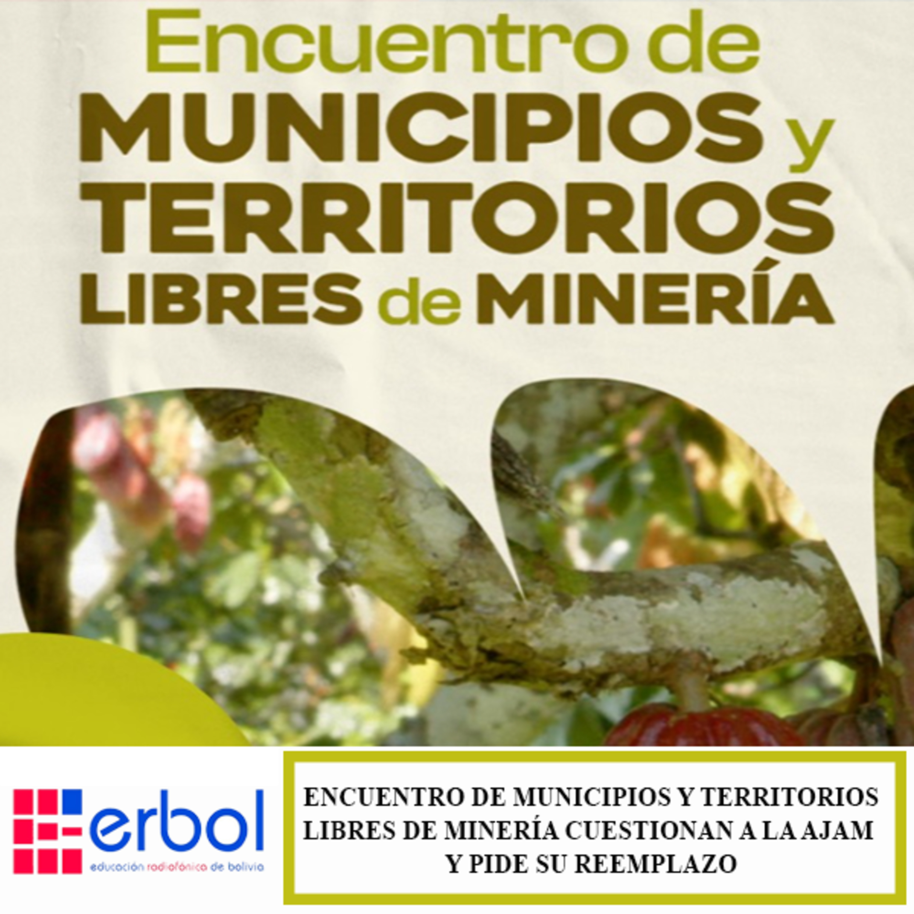 Encuentro de Municipios Libres de Minería reafirma defensa del territorio y promueve la agroecología episode artwork