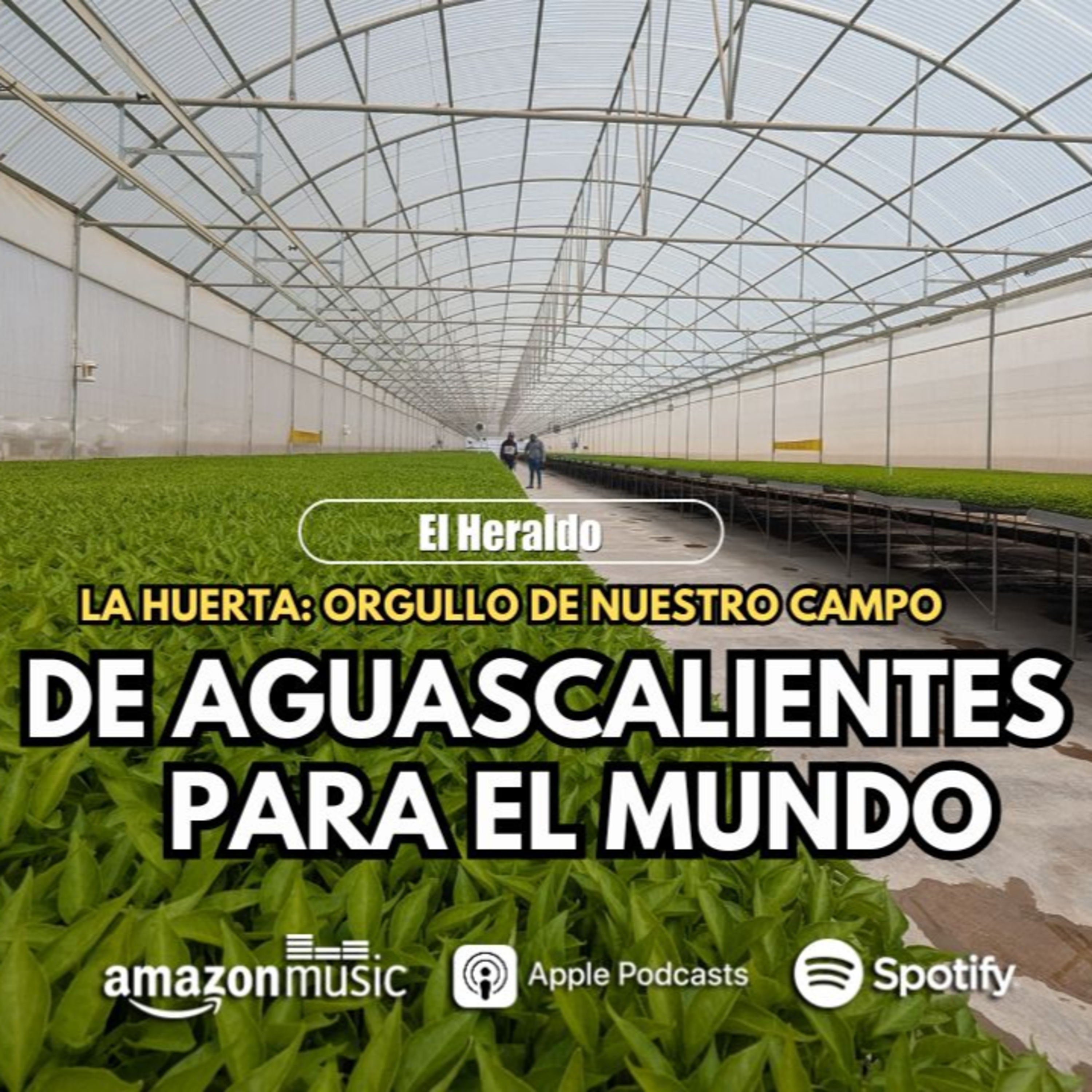 Portada de Heraldocast