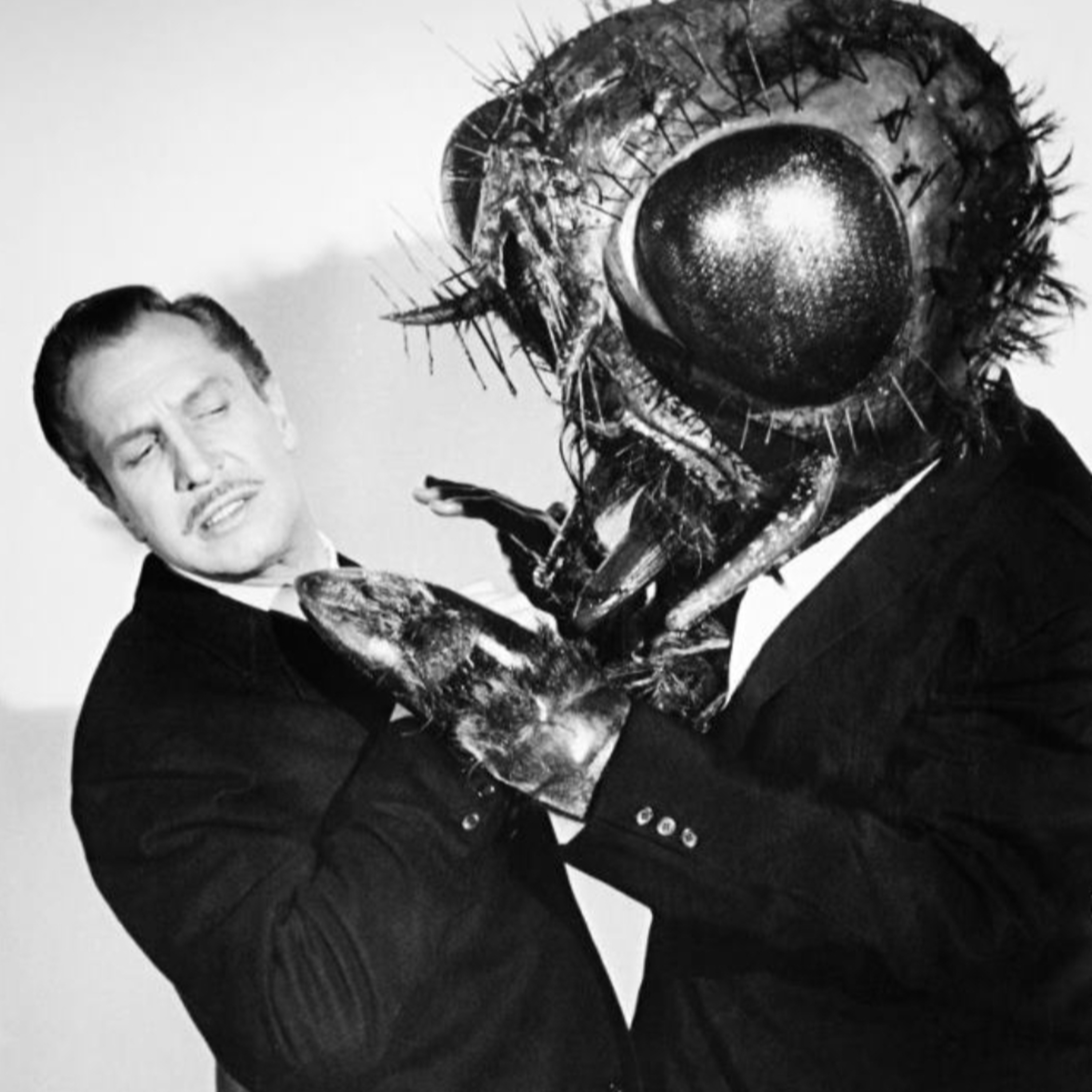 "LA MOSCA" Otros Autores de Terror y sus Obras Capítulo 23