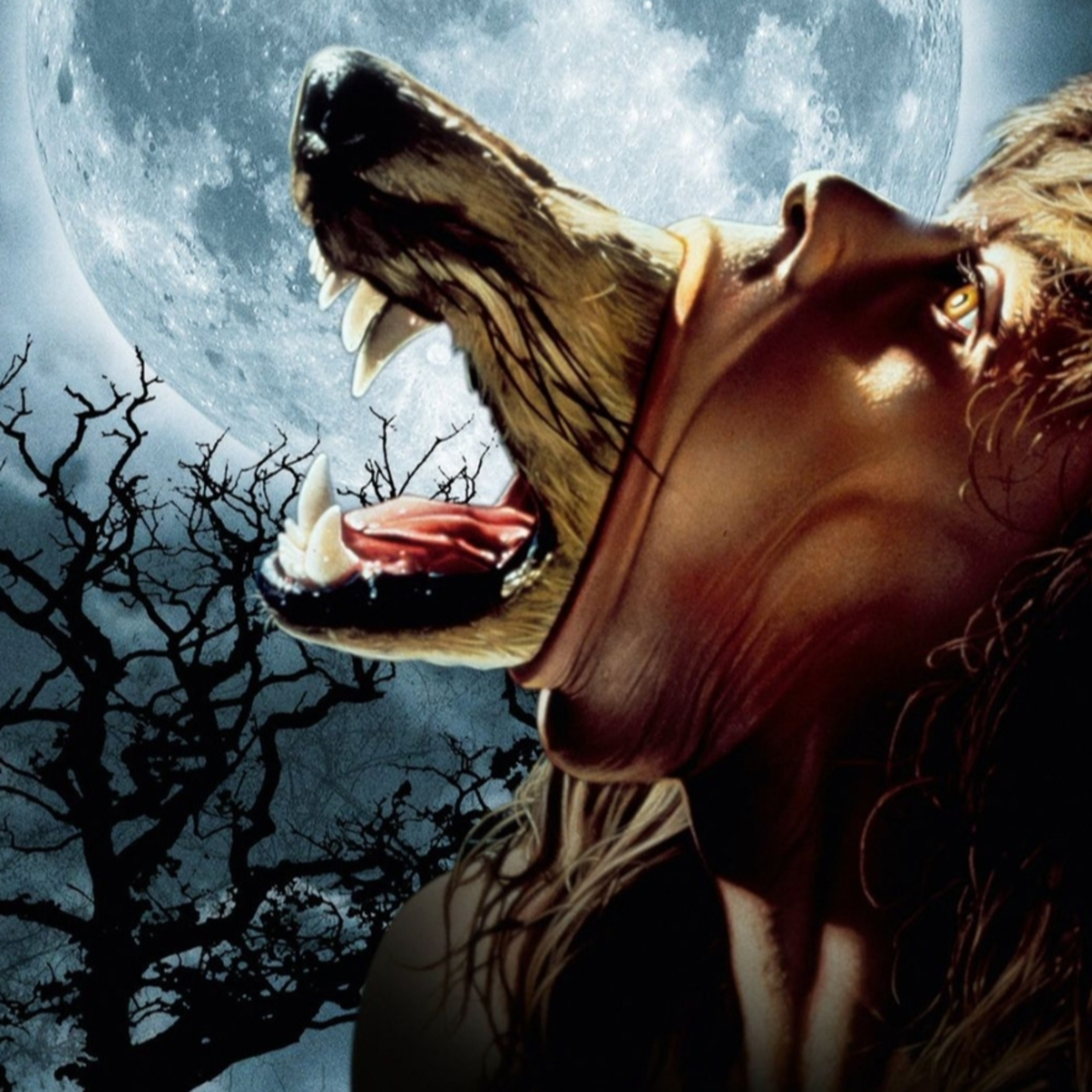 EL HOMBRE LOBO: LAS COMERICIALES Y UNA JOYA OCULTA Cine de Terror Capítulo 13 episode artwork