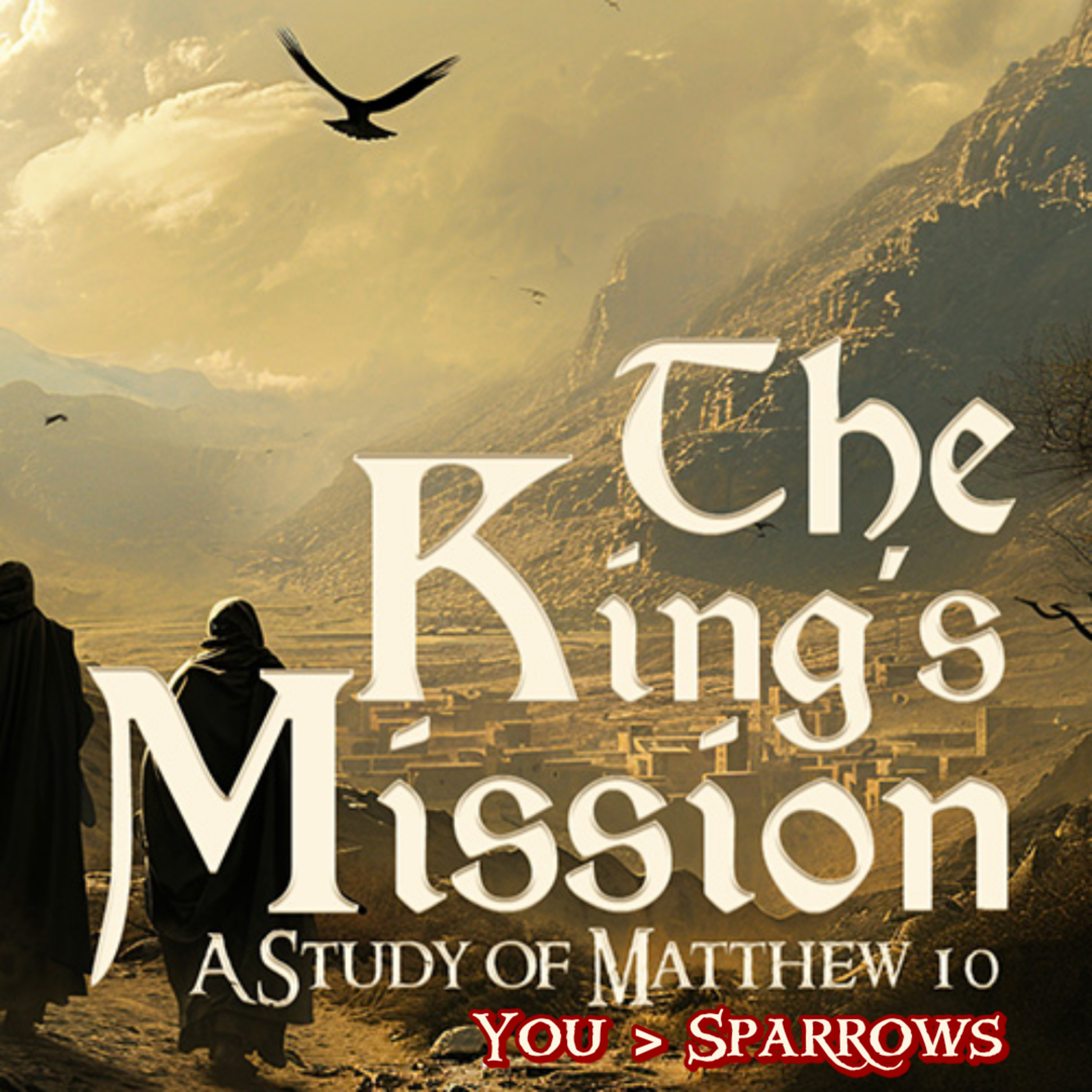 The Kings Mission E 11 - You > Sparrows (Matthew 10:26-33)  episode artwork