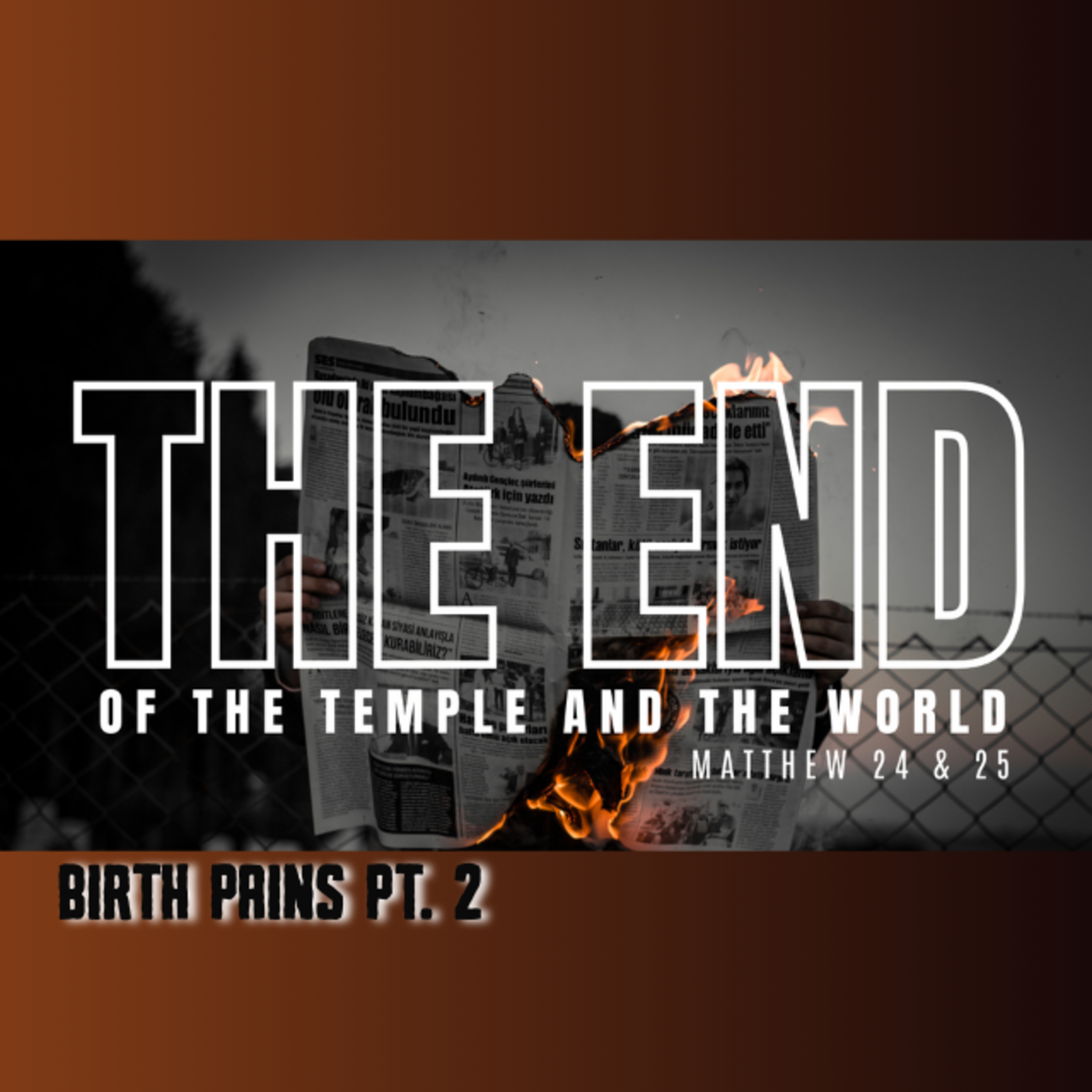 The End. Ep. 3 - Birth Pains - Pt.2 episode artwork