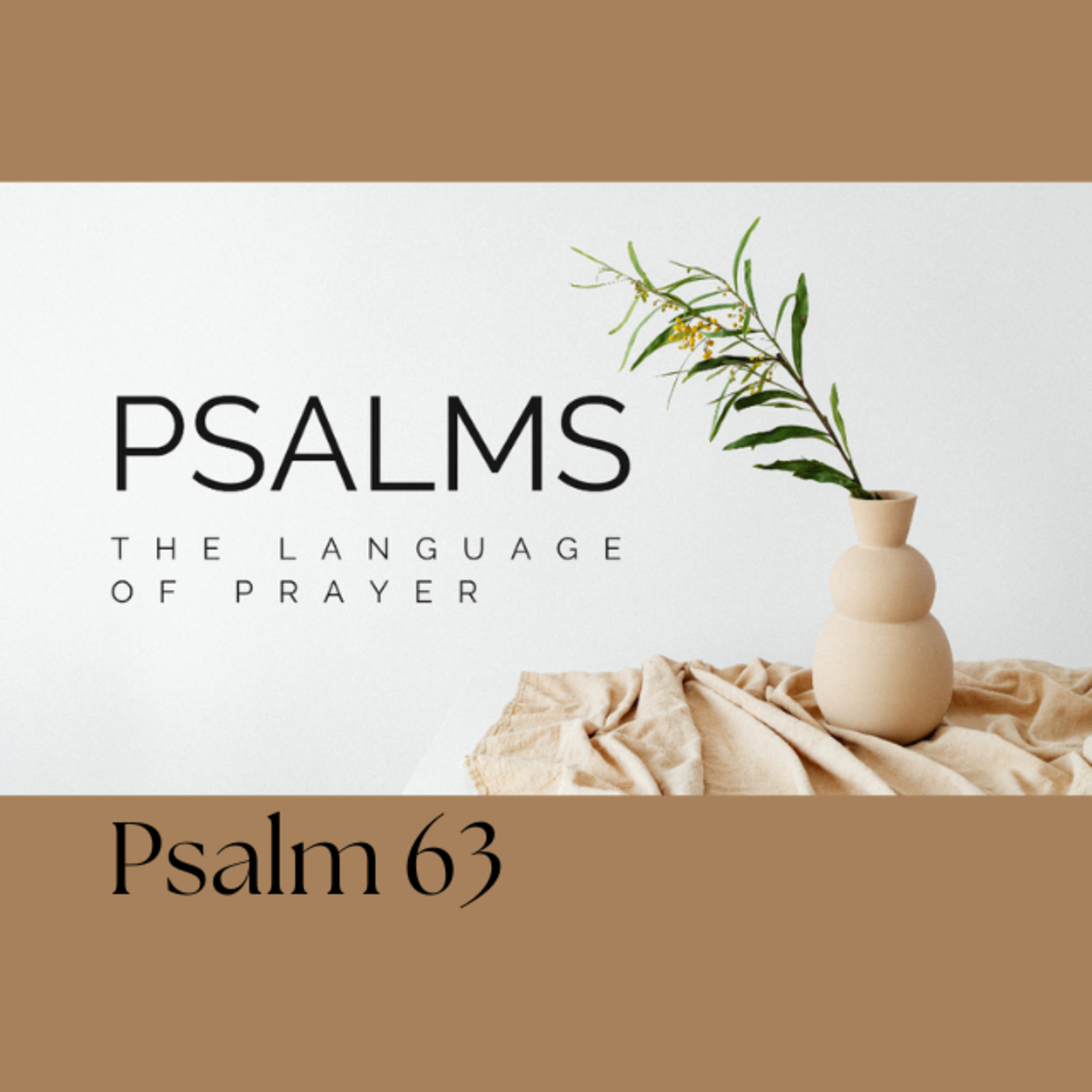 Psalms, The Language of Prayer - Psalm 63 episode artwork