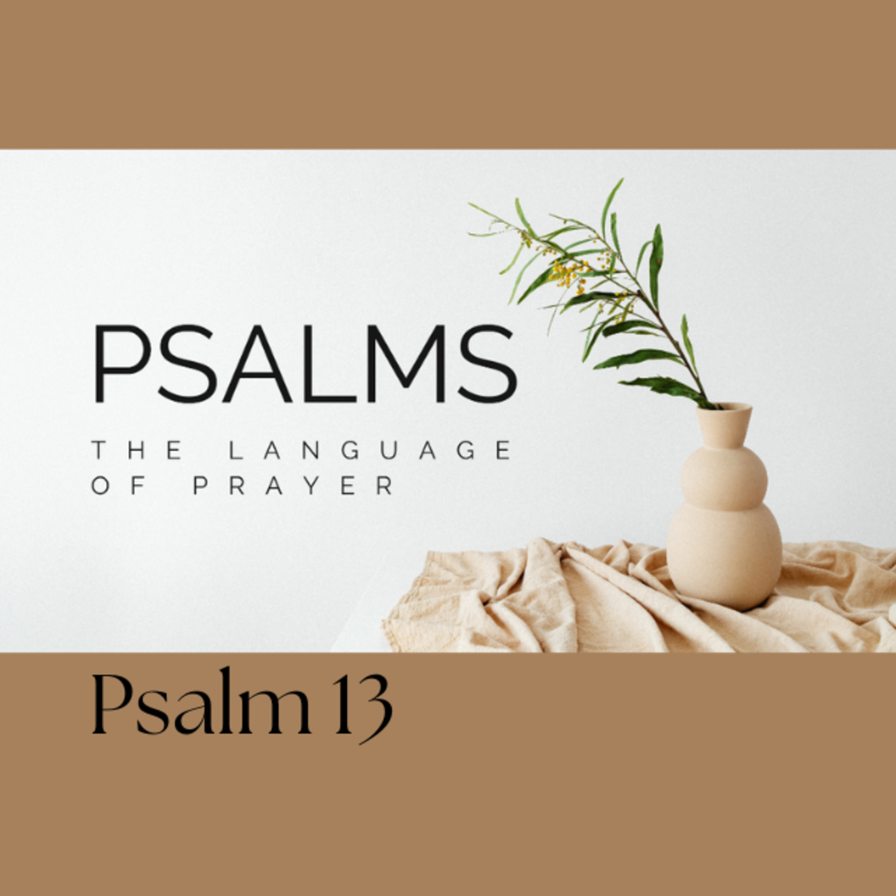 Psalms, The Language of Prayer - Psalm 13 episode artwork