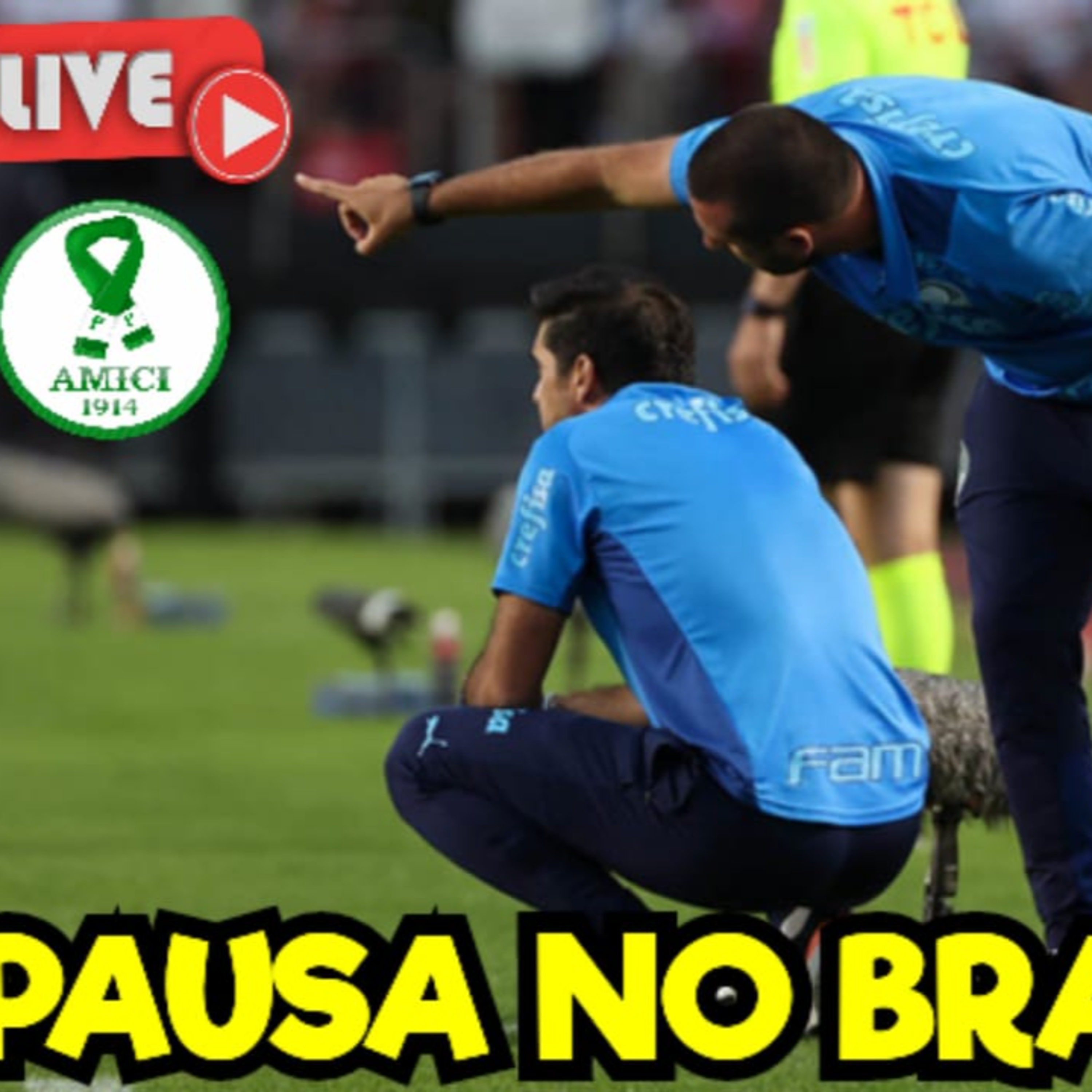AO VIVO _ BRASILEIRÃO PARA E PALMEIRAS SE PREPARA PARA NOVA MARATONA DE JOGOS episode artwork