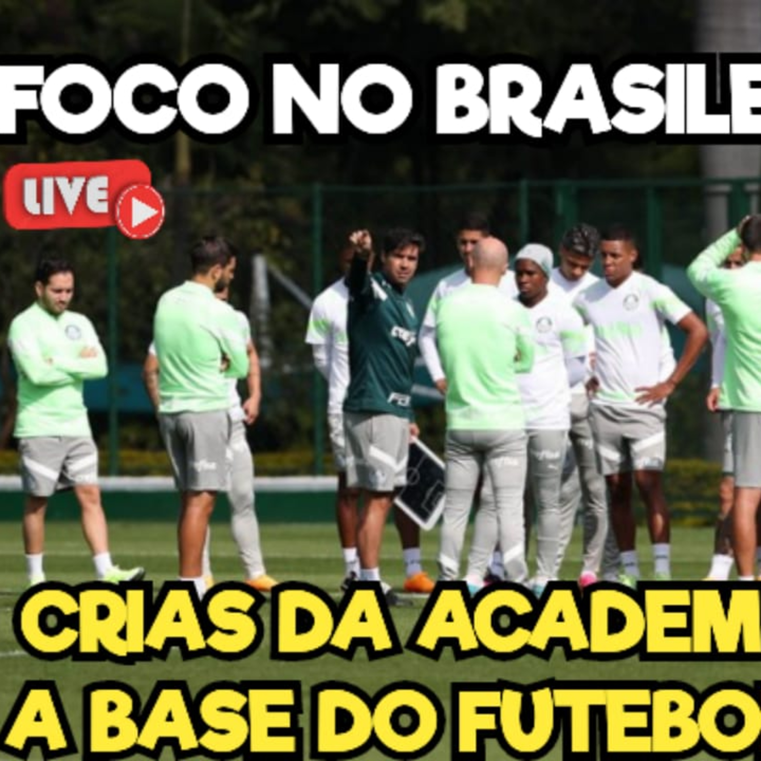 AO VIVO _ VERDÃO TREINA DE OLHO NO BAHIA _ CRIAS DOMINAM A BASE _ ABEL RECUSA PROPOSTA INSANA