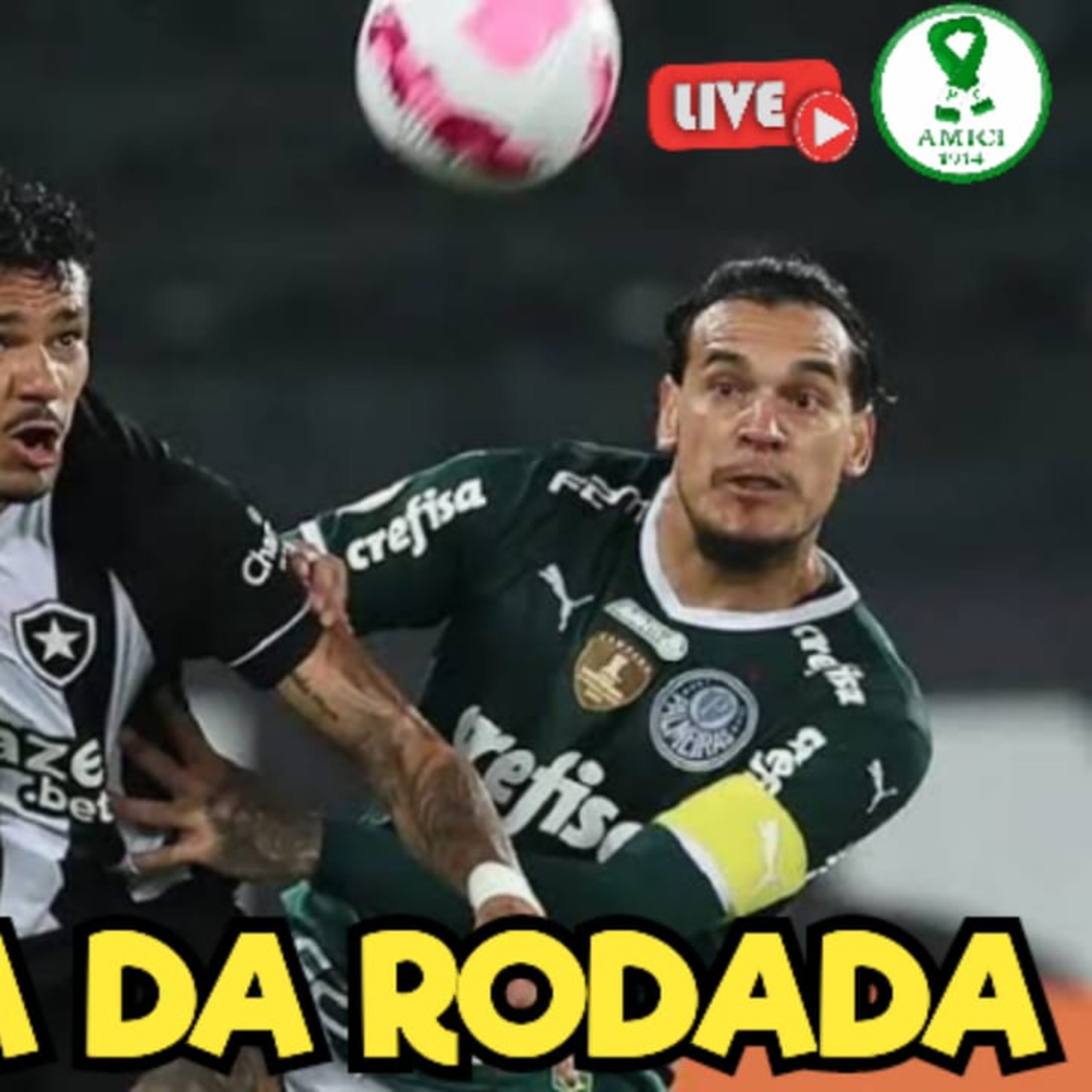 AO VIVO _ PALMEIRAS X BOTAFOGO PELO BRASILEIRÃO _ EXPECTATIVA DA RODADA _ TEREMOS CASA CHEIA!