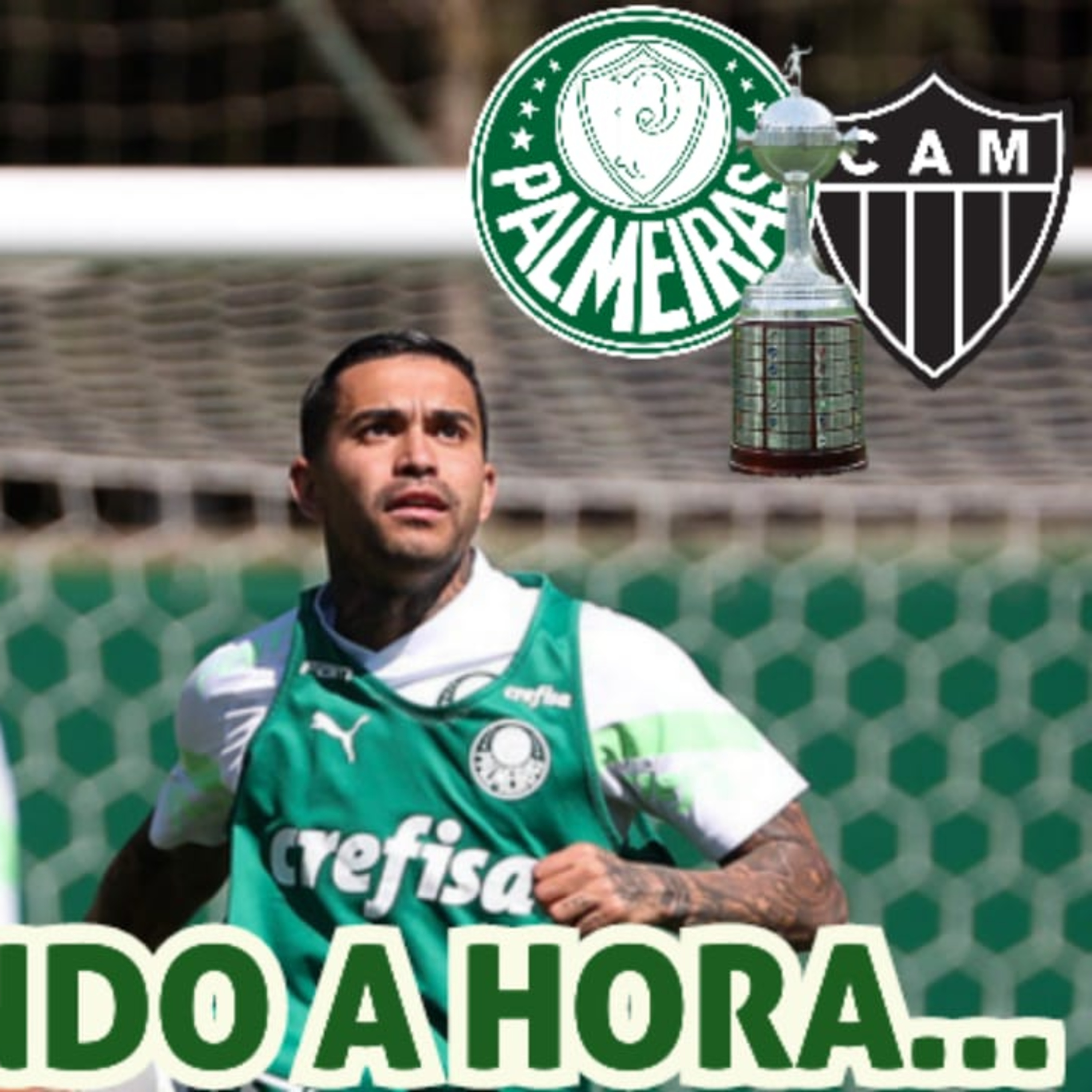 AO VIVO _ PALMEIRAS TREINA DE OLHO EM JOGO DO ANO CONTRA O ATLÉTICO-MG _ RENOVAÇÕES NA BASE