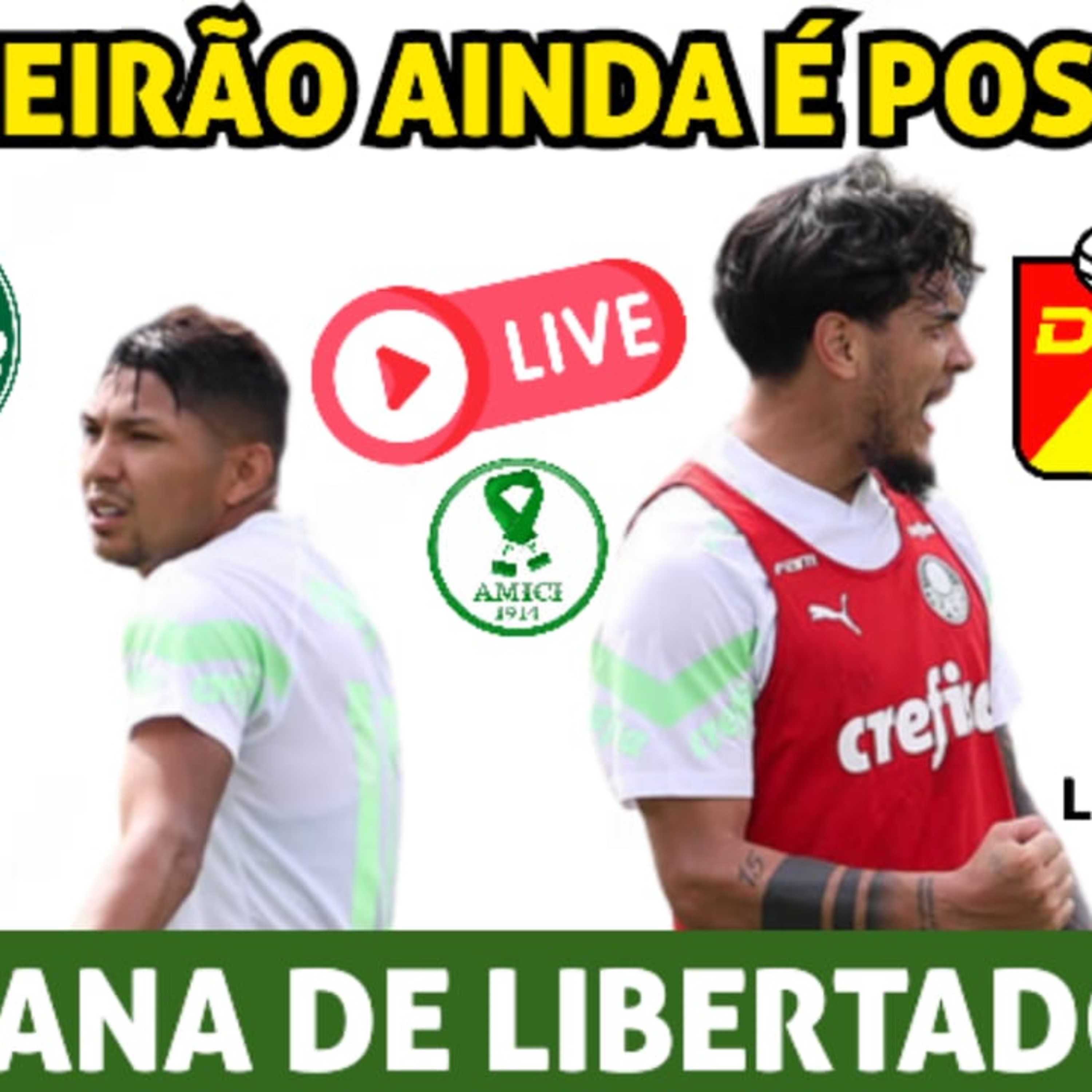 AO VIVO _ BRASILEIRÃO AINDA É POSSÍVEL_ PALMEIRAS VIRA A CHAVE PARA LIBERTADORES