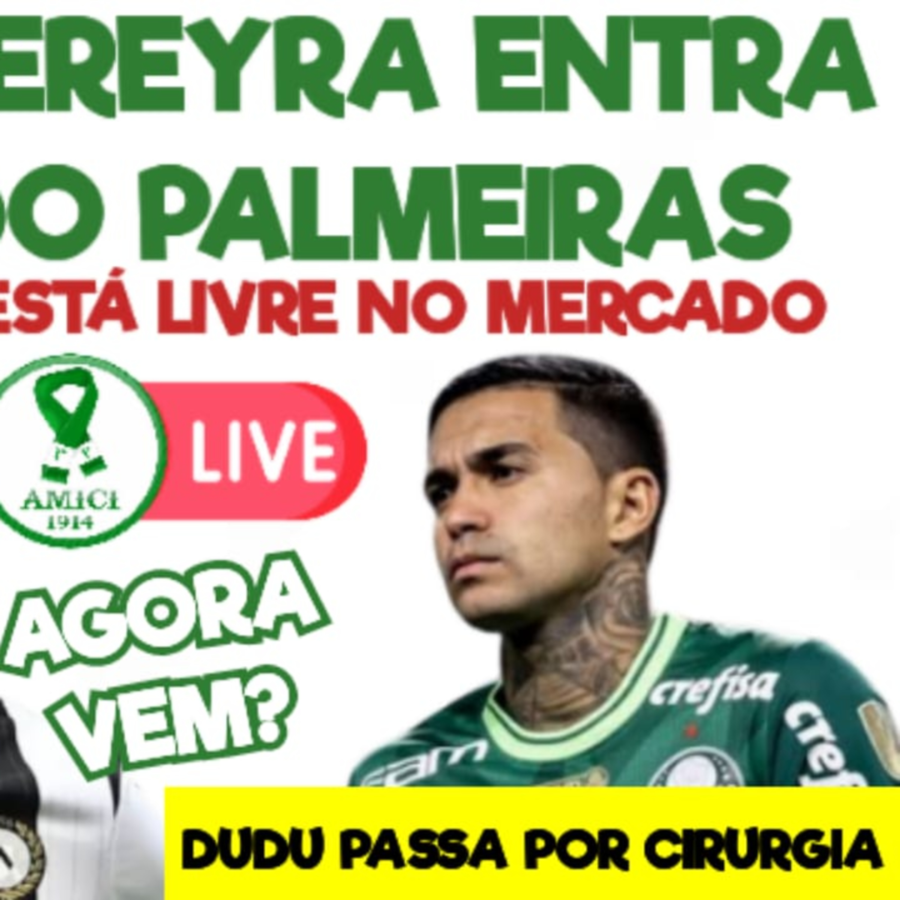 AO VIVO _ REFORÇO CHEGANDO_ PALMEIRAS INTERESSADO EM MEIA ARGENTINO QUE ESTÁ LIVRE NO MERCADO