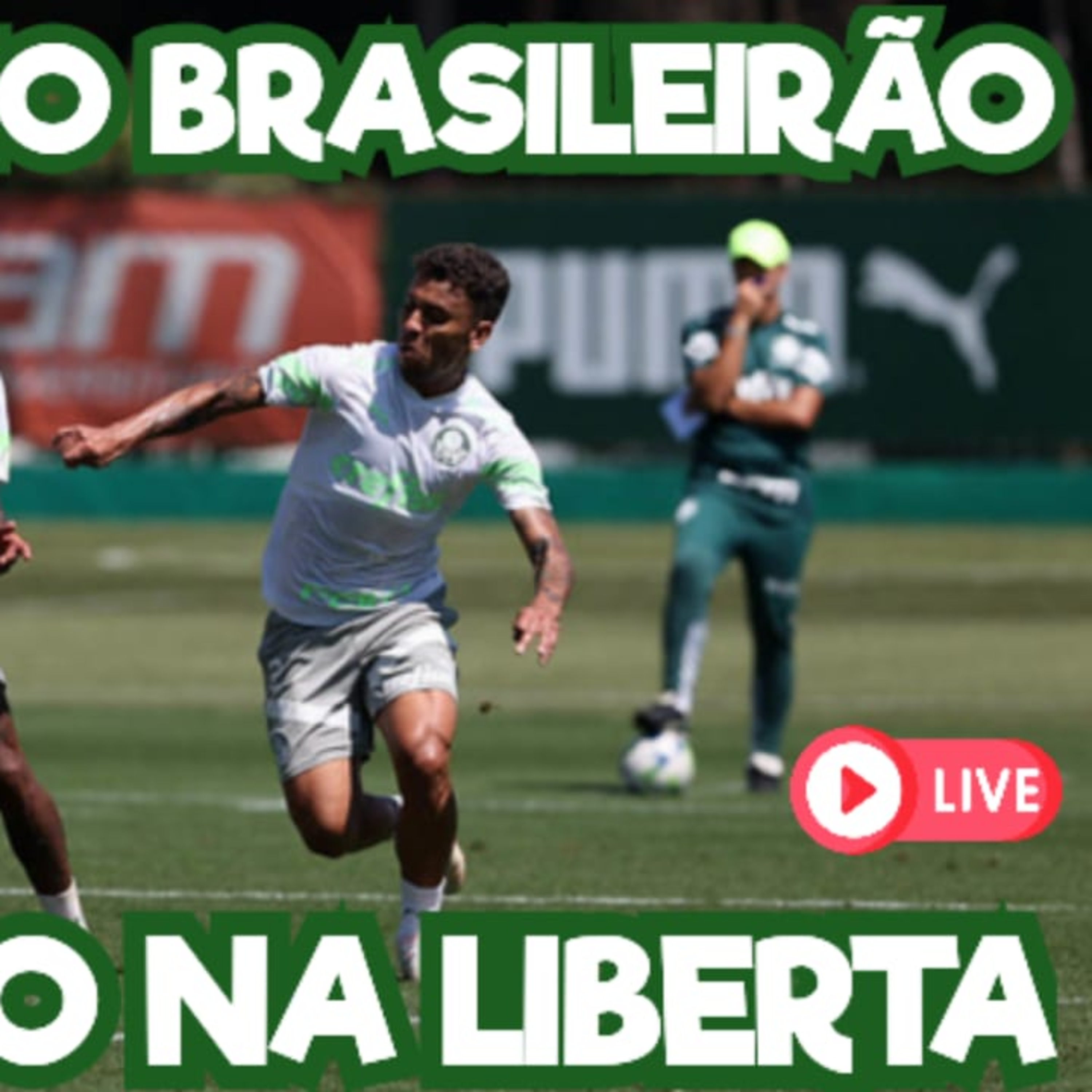 AO VIVO _ PALMEIRAS TERÁ GOIÁS E GRÊMIO NO BRASILEIRÃO, ANTES DA SEMI DA LIBERTADORES