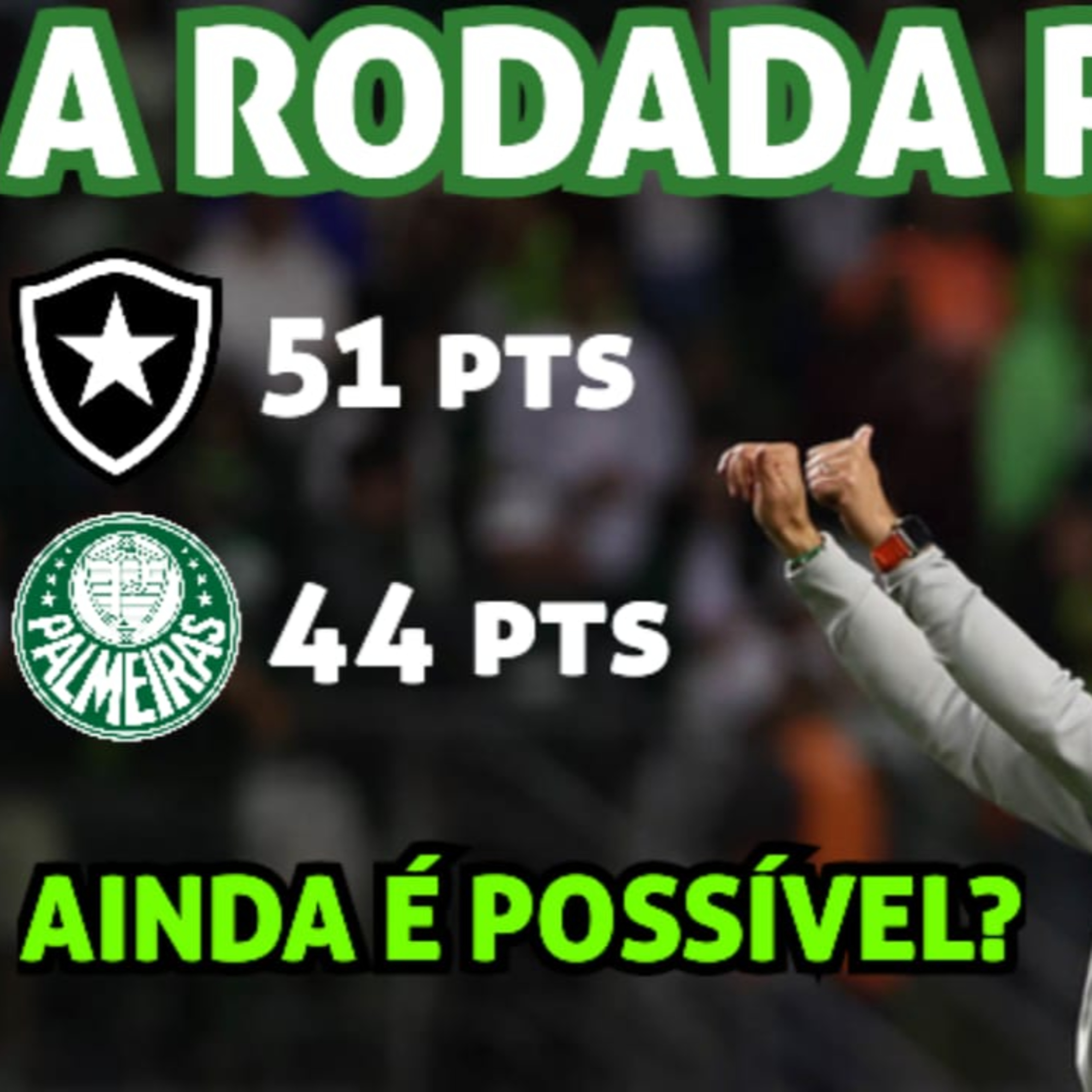 AO VIVO _ RODADA PERFEITA PARA O PALMEIRAS COM DIFERENÇA PARA O LÍDER DIMINUINDO _ PODEMOS SONHAR_