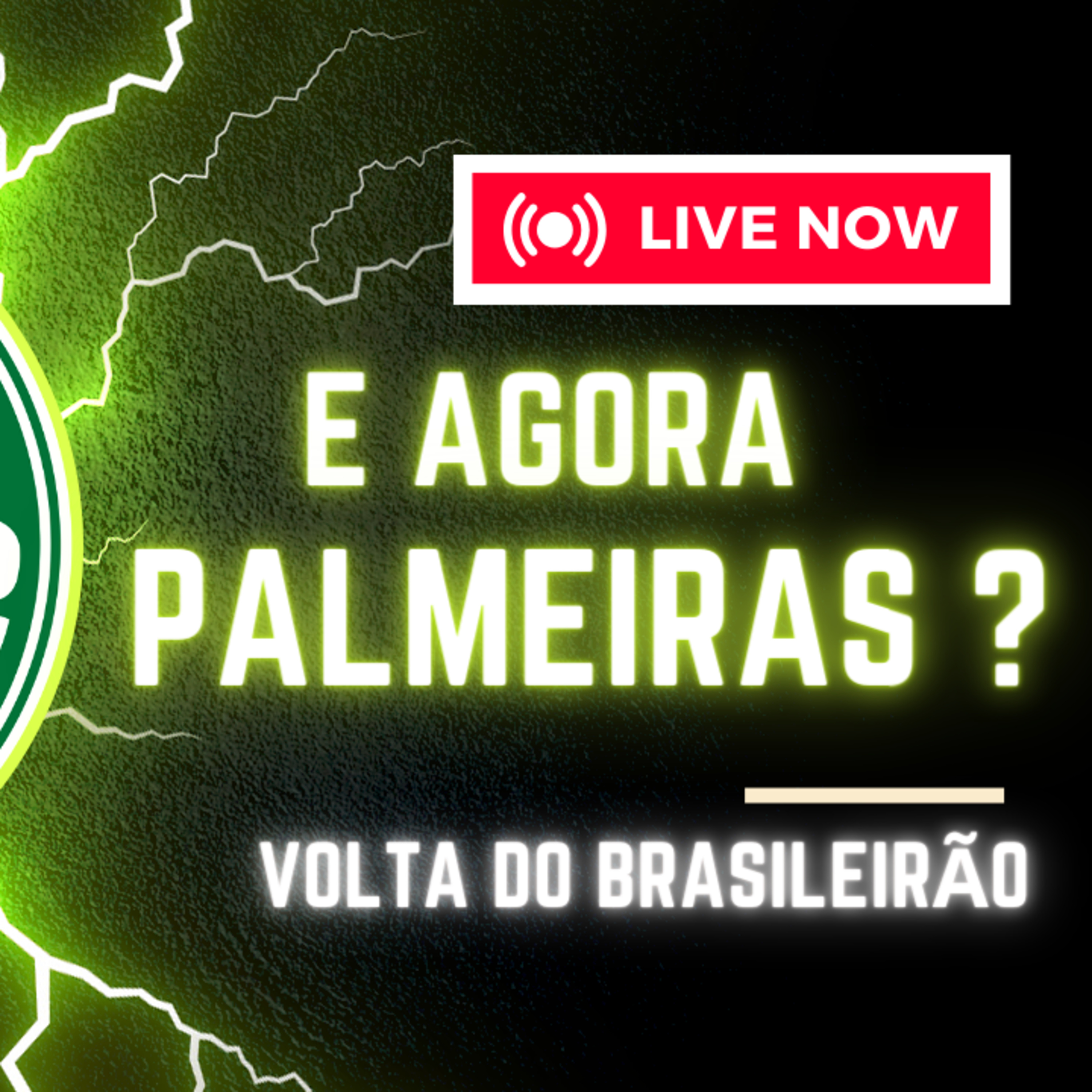 AO VIVO _ TENTANDO ESQUECER A CRISE POLITICA PALMEIRAS VOLTA A SE PREPARAR PARA O BRASILEIRÃO